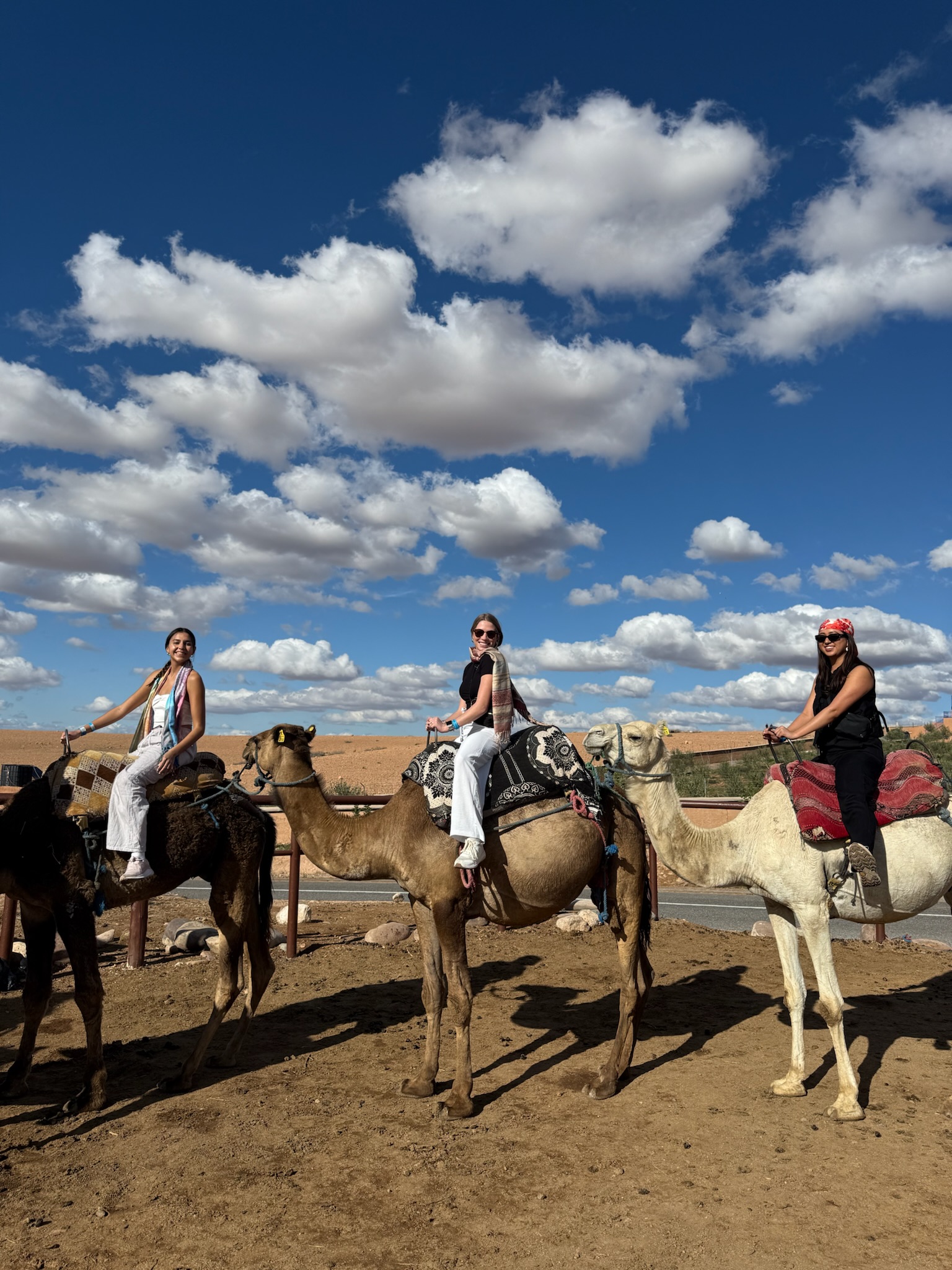 Camel riding in Morocco