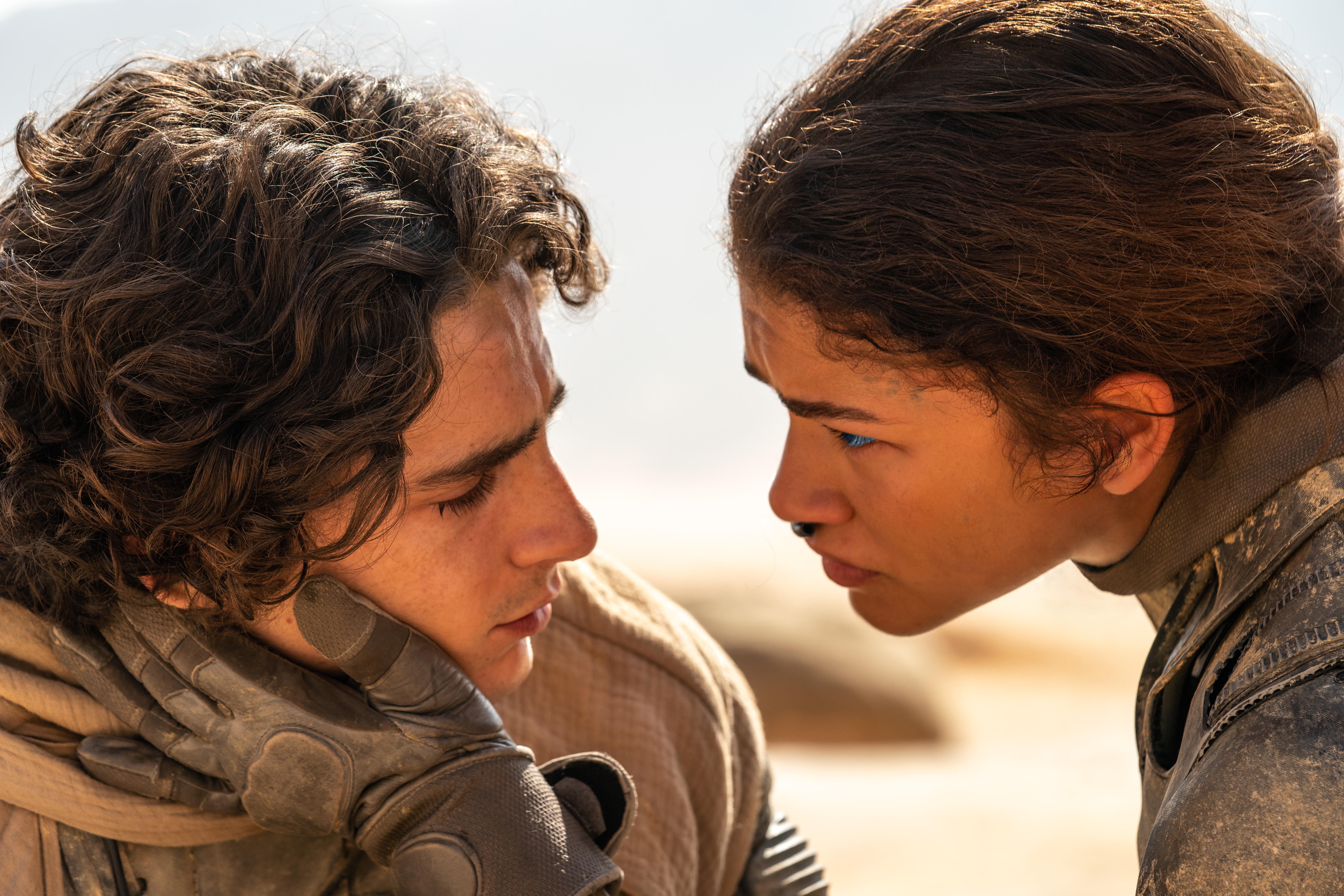 dune part two timothee chalamet zendaya coleman?width=698&height=466&fit=crop&auto=webp&dpr=4