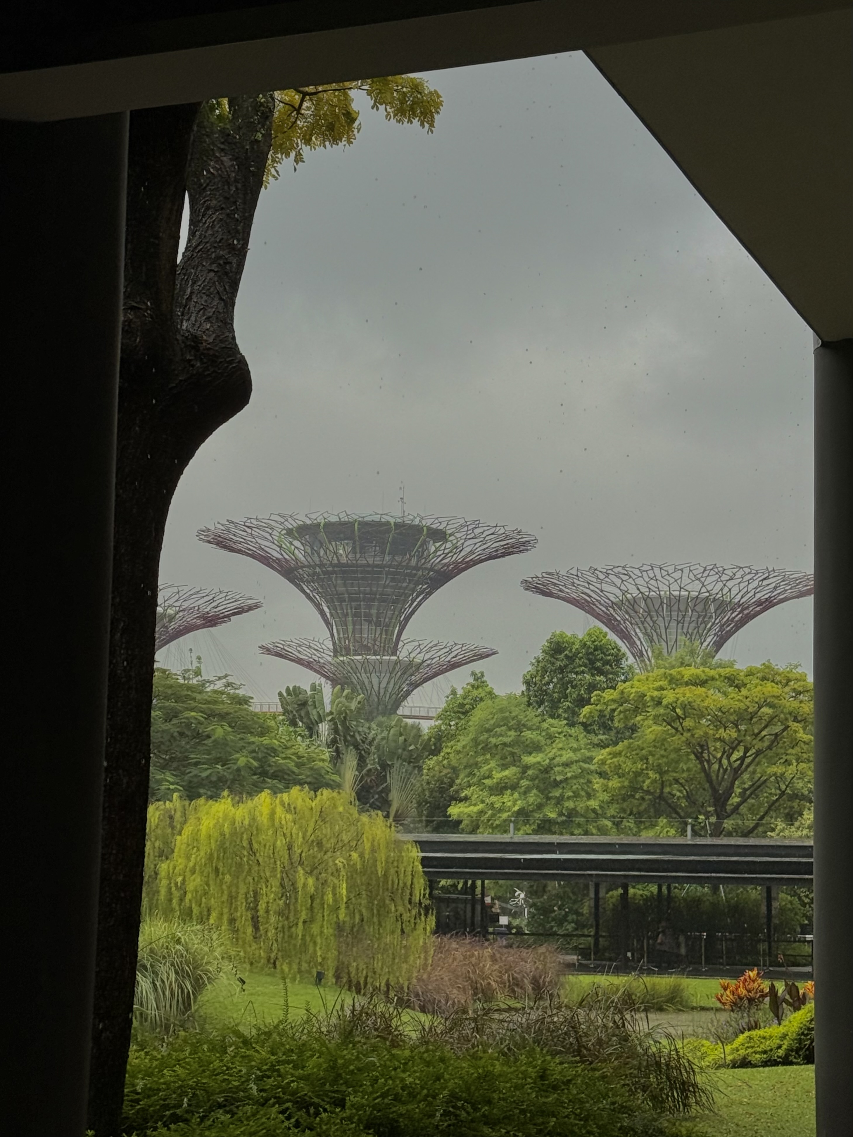 img 3057jpg by Mia Cho?width=698&height=466&fit=crop&auto=webp&dpr=4