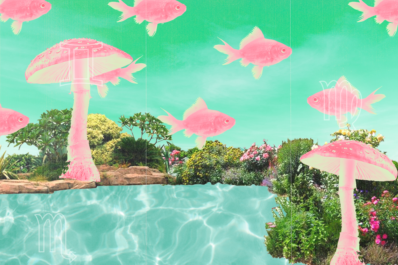 signs of the times?width=1280&height=854&fit=crop&auto=webp&dpr=4