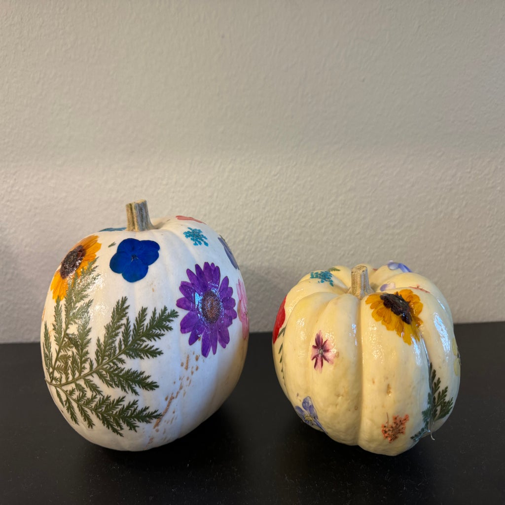 Two white painted pumpkins