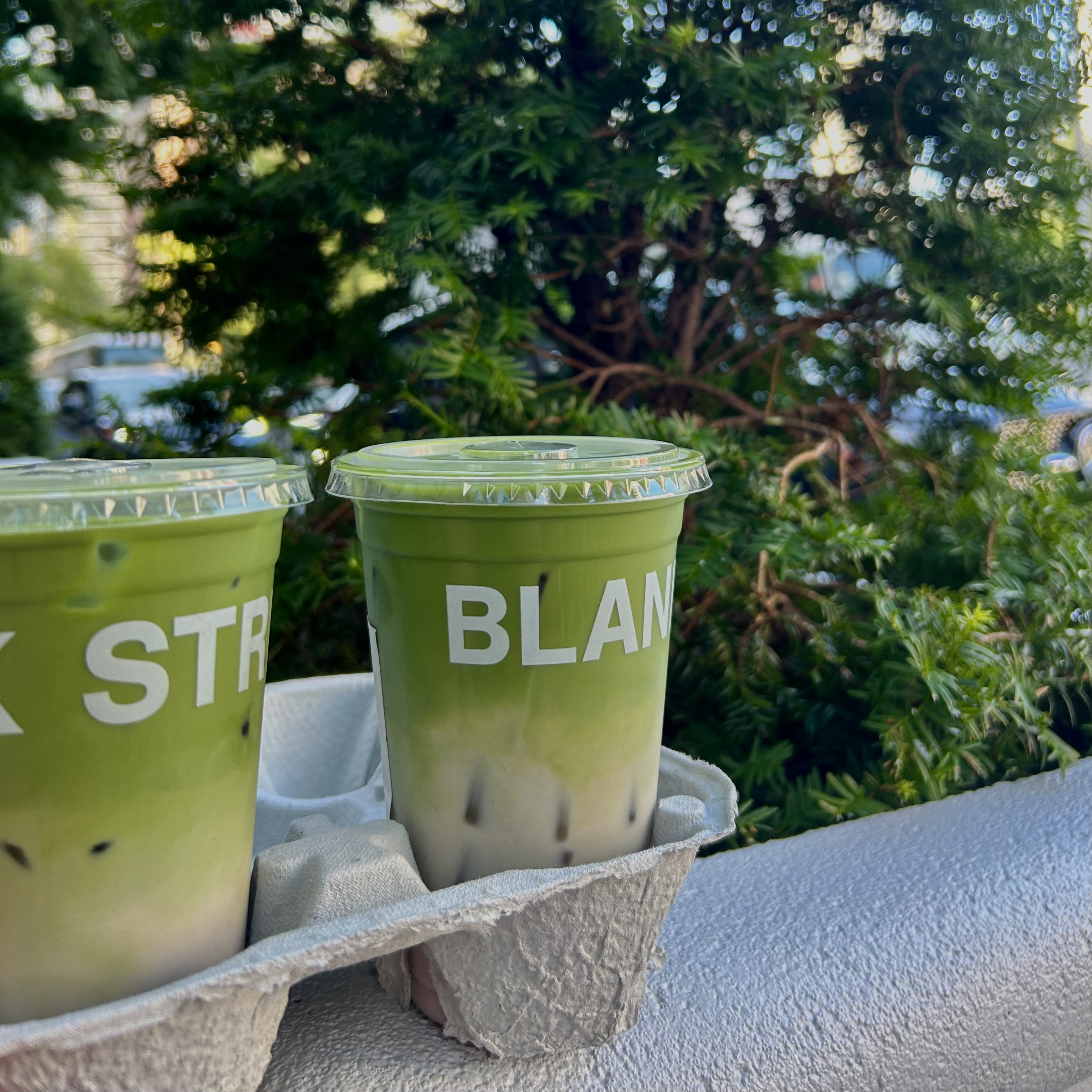 two iced matcha drinks in front of greenery
