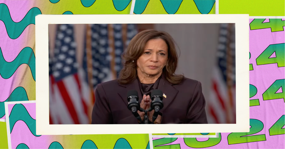 Is Kamala Harris Planning An Election Recount? What To Know