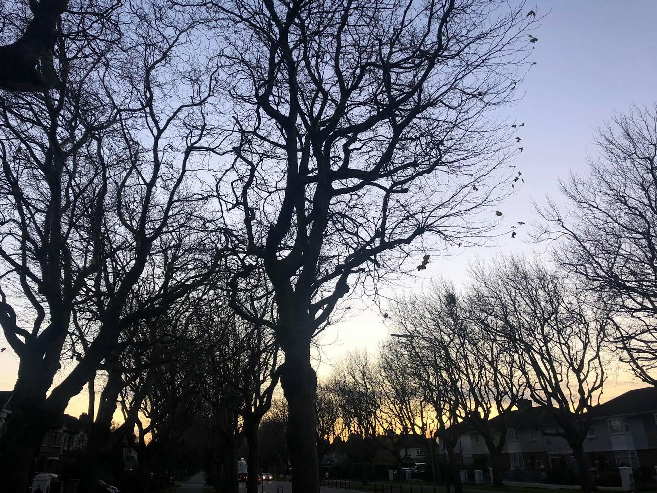 dublin walk 2 by Aoife McGeough