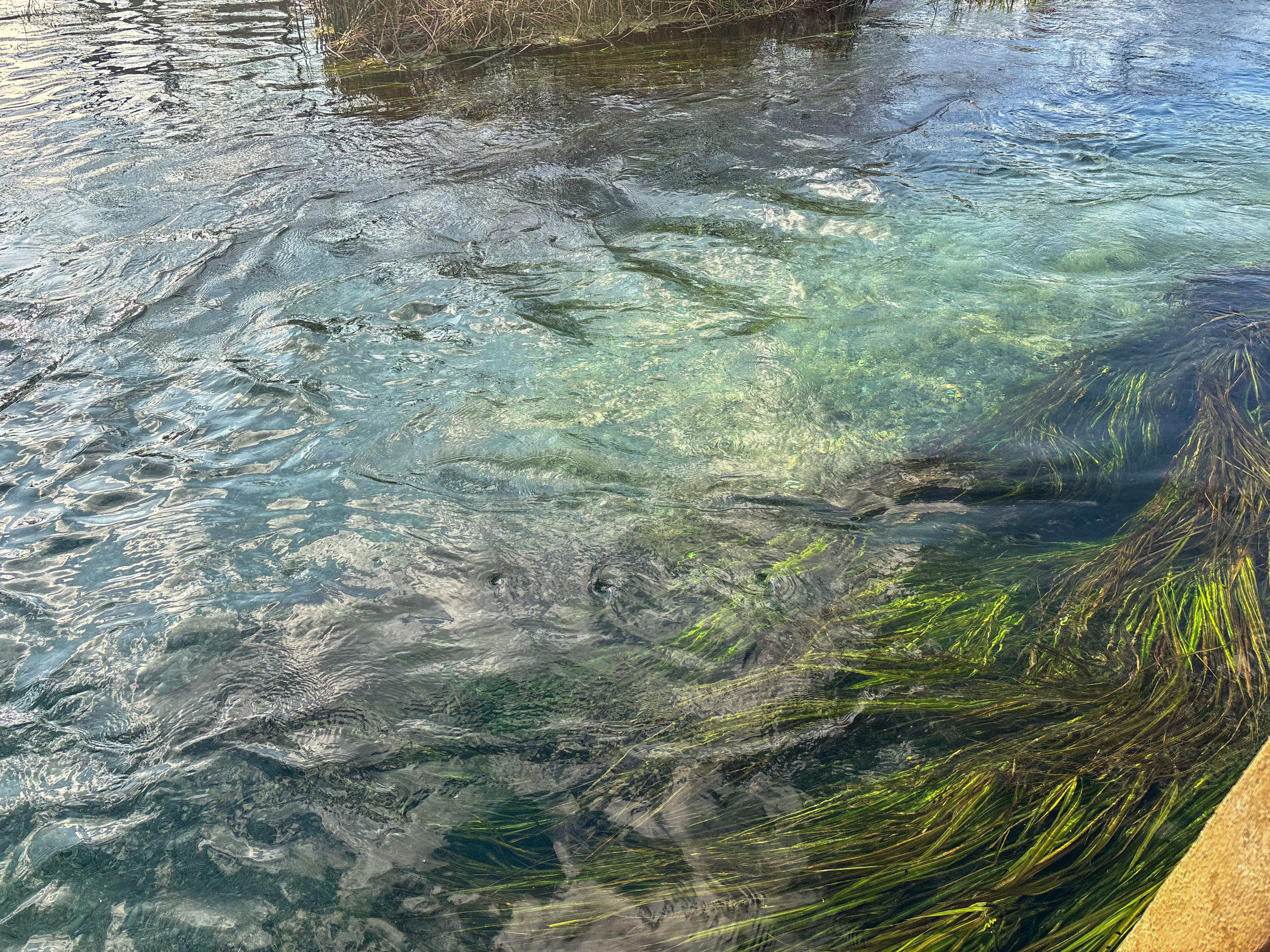 img 8481jpg by Kamora Young?width=698&height=466&fit=crop&auto=webp&dpr=4