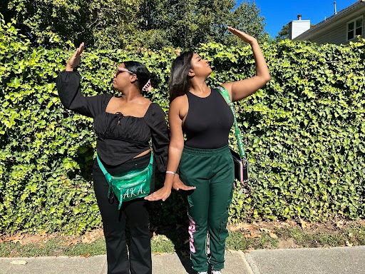 camille birdsong alpha kappa alpha sorority inc