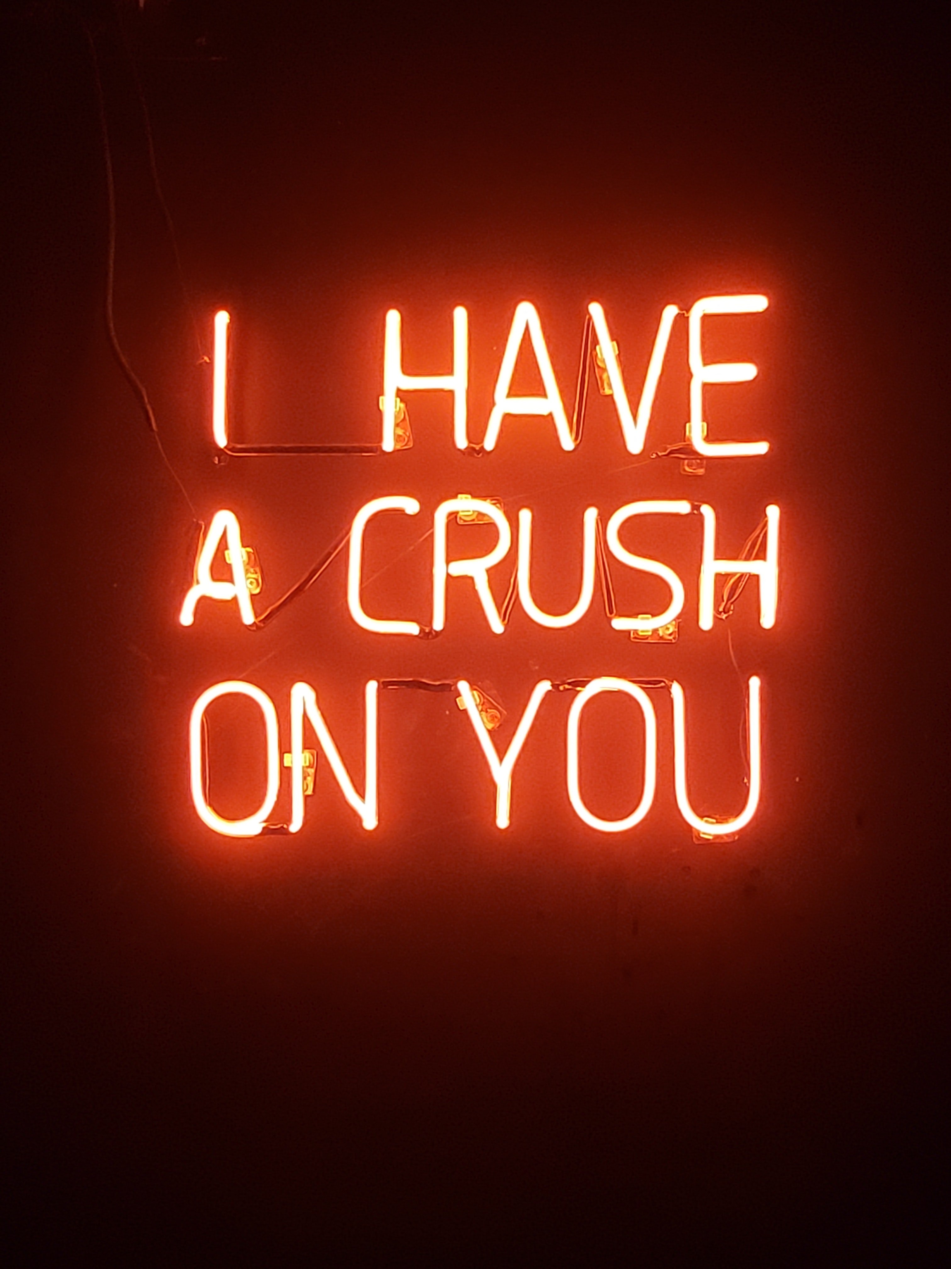 neon sign crush by Leonardo Sanches?width=698&height=466&fit=crop&auto=webp&dpr=4