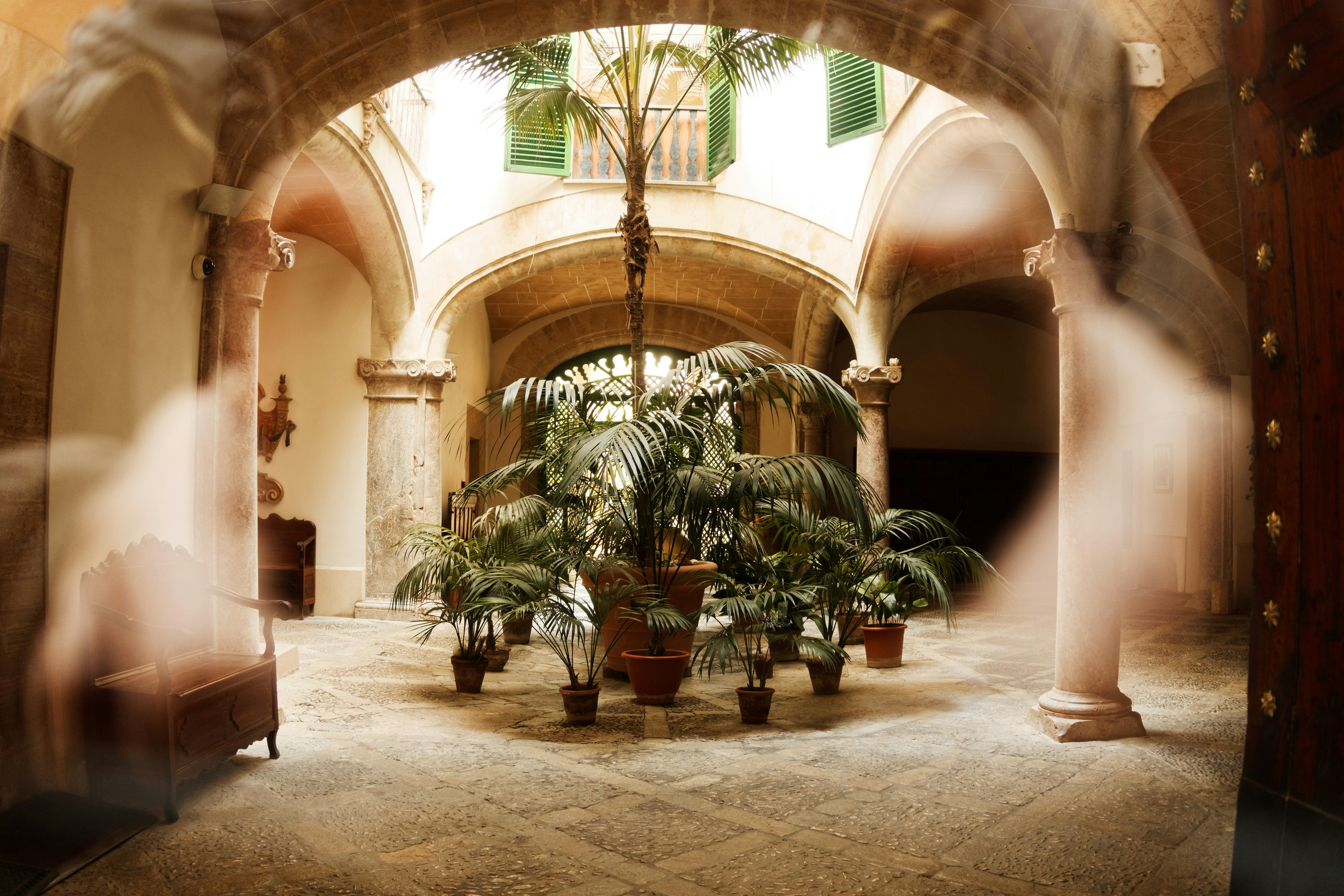 Plants in the foyer of a building in Spain
