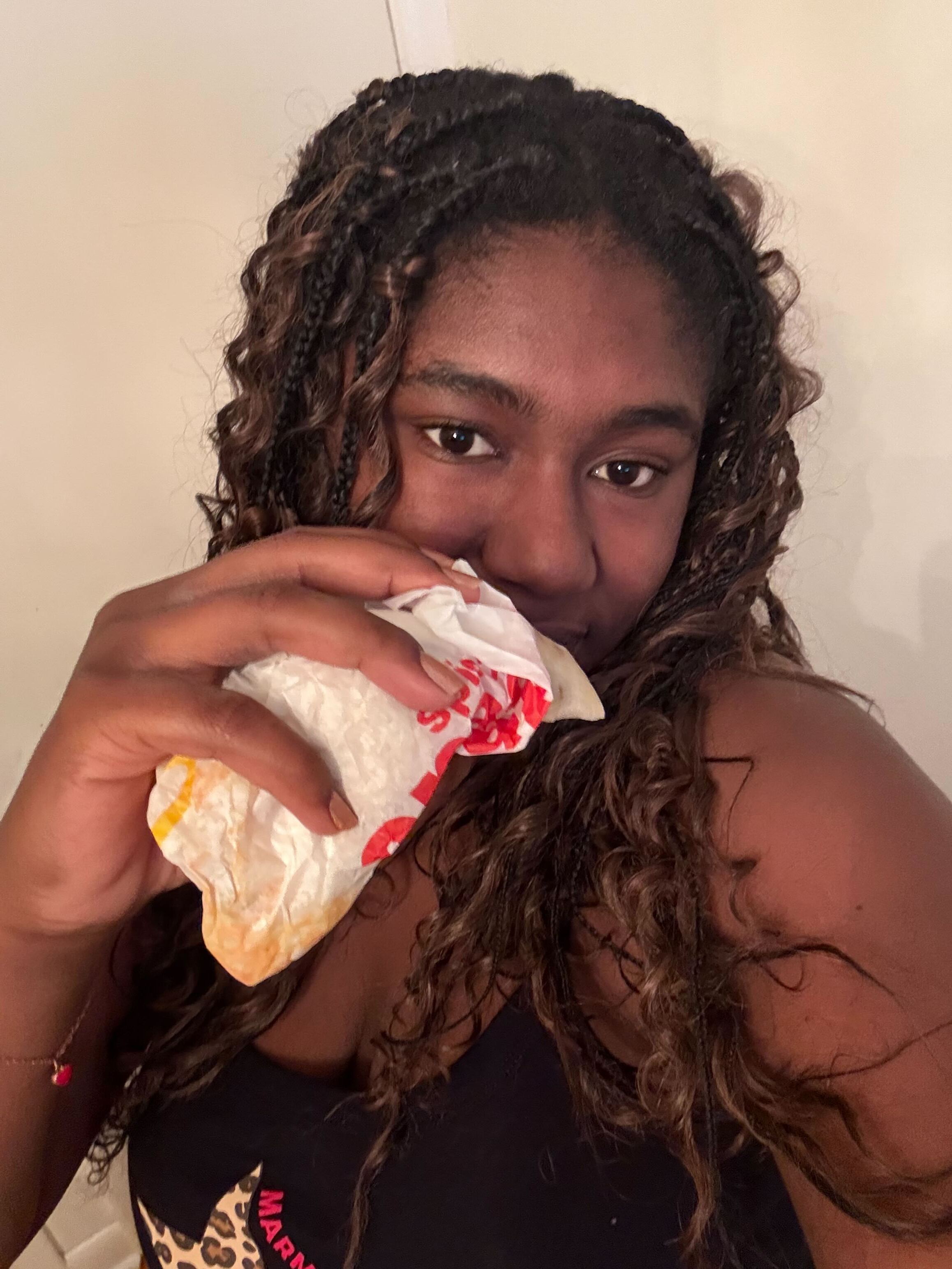 mcdonalds snack wrap