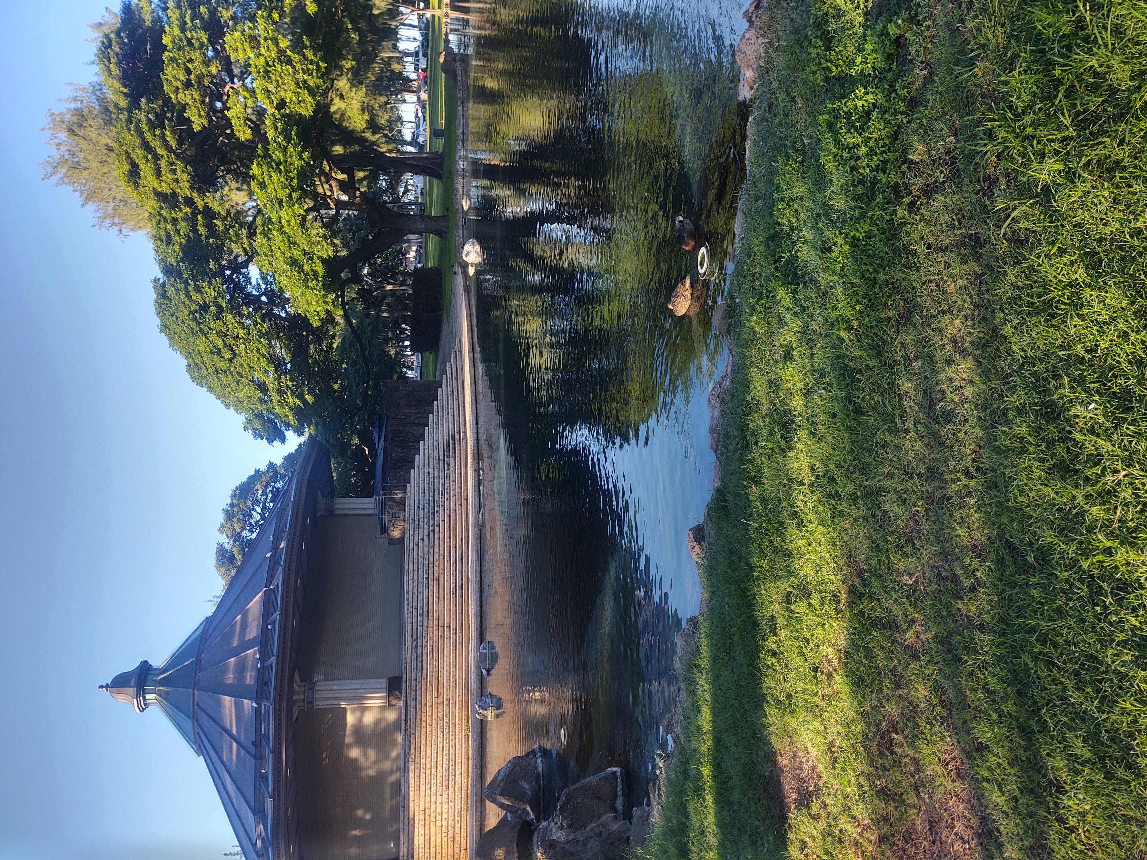 Picture taken in a public park at waikiki beach