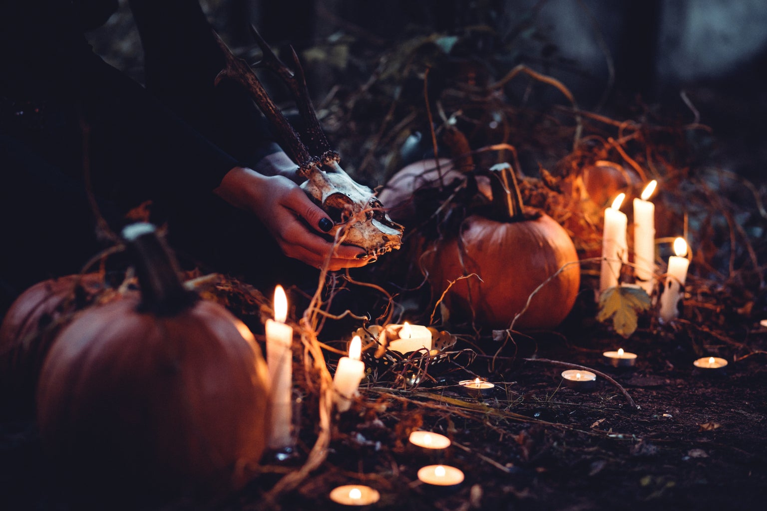 pumpkins, candles, and skull