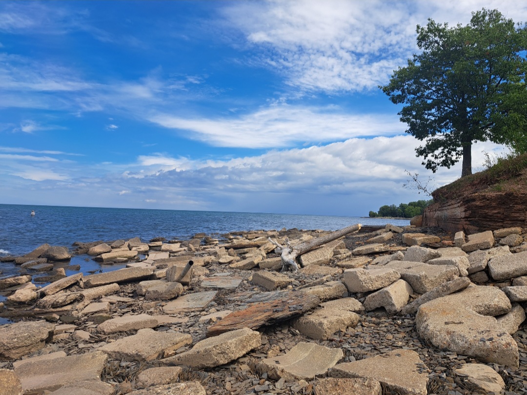 screenshot 20240328 084430 galleryjpg by Olivia Brannagan?width=698&height=466&fit=crop&auto=webp&dpr=4