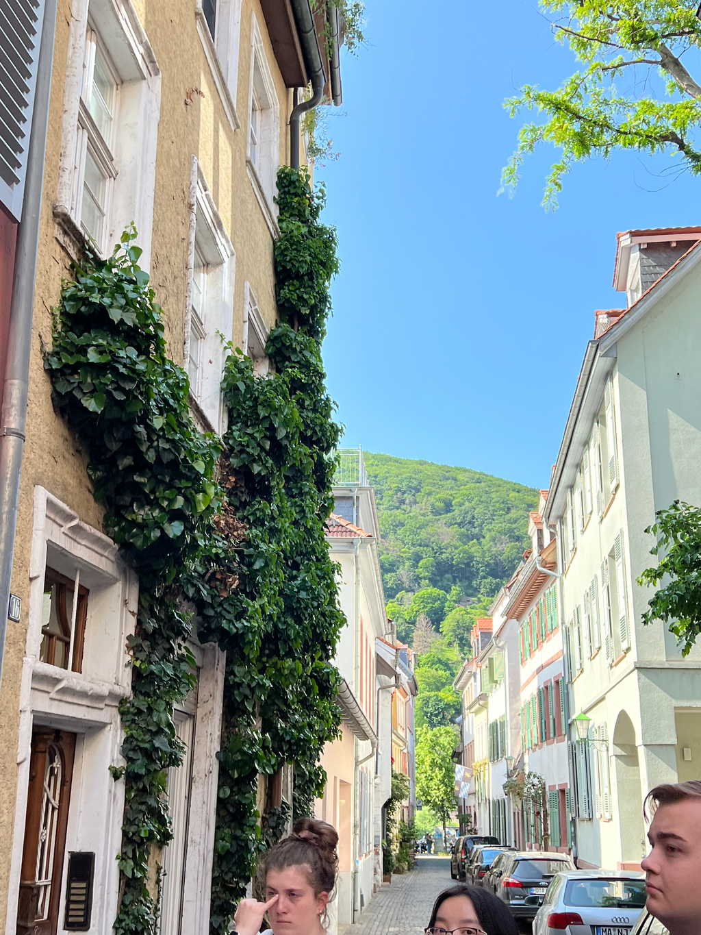 View down alley in European town with mountains in background