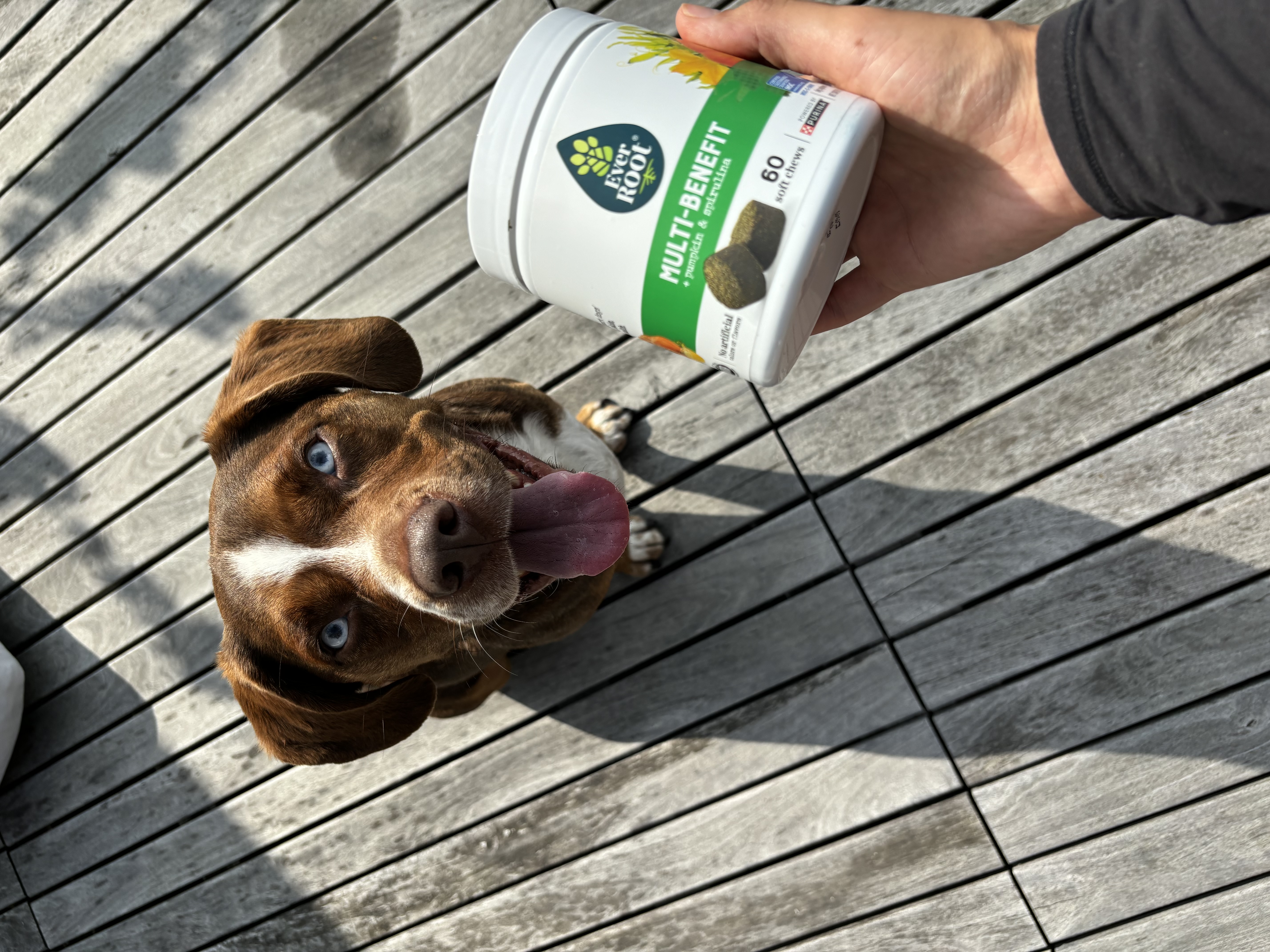 MYLO ALY 8?width=500&height=500&fit=cover&auto=webp&dpr=4