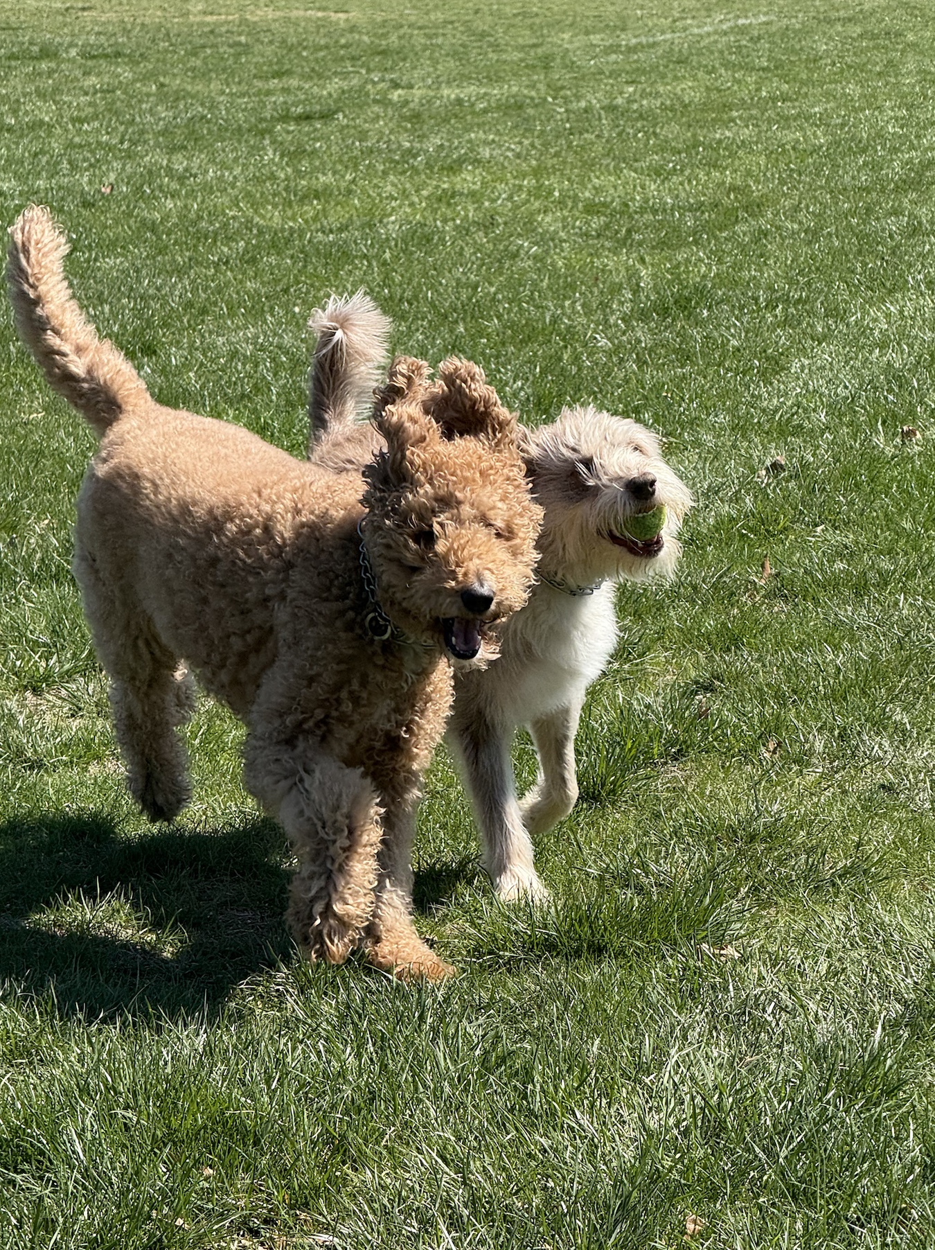 image 42825 at 1039 amjpg by Caroline McIntyre?width=698&height=466&fit=crop&auto=webp&dpr=4