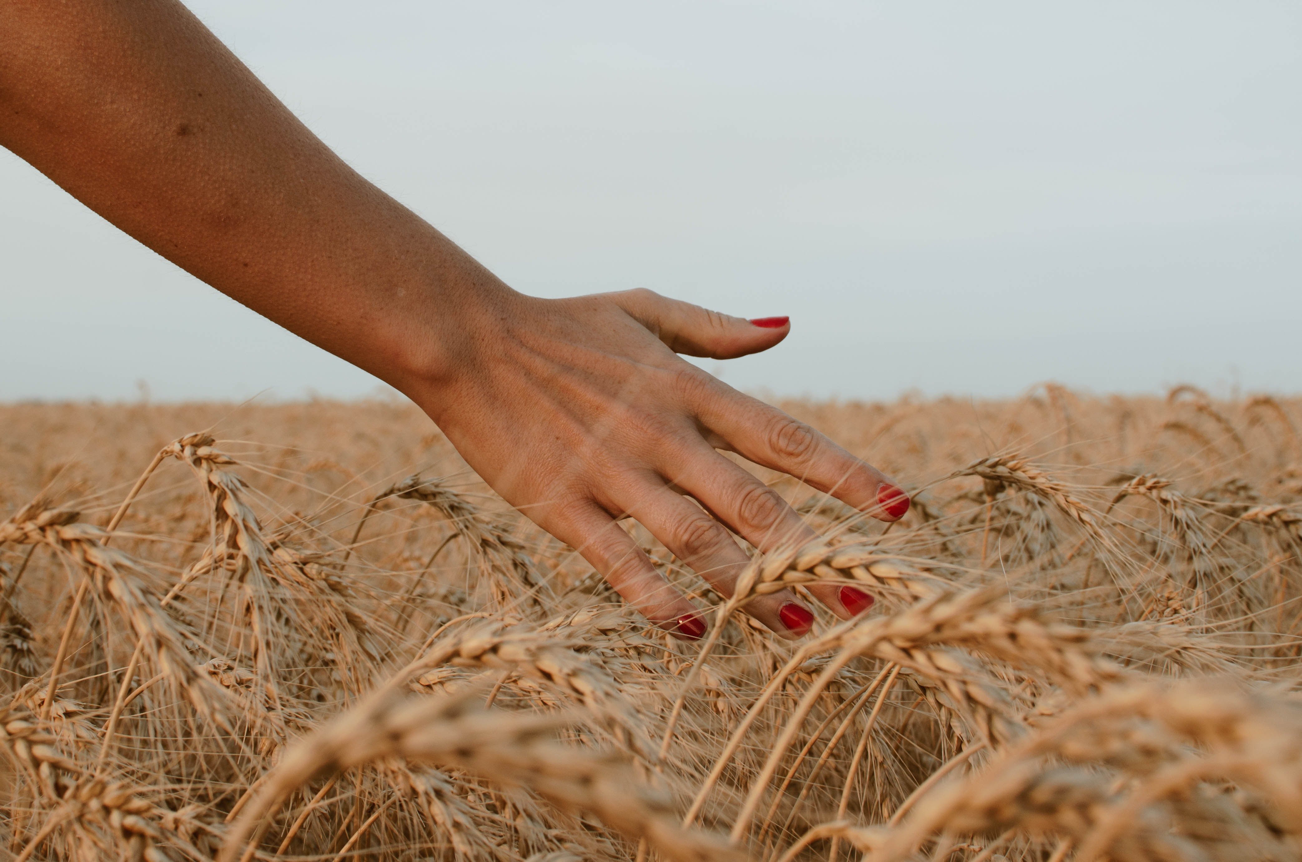 Nails in grass