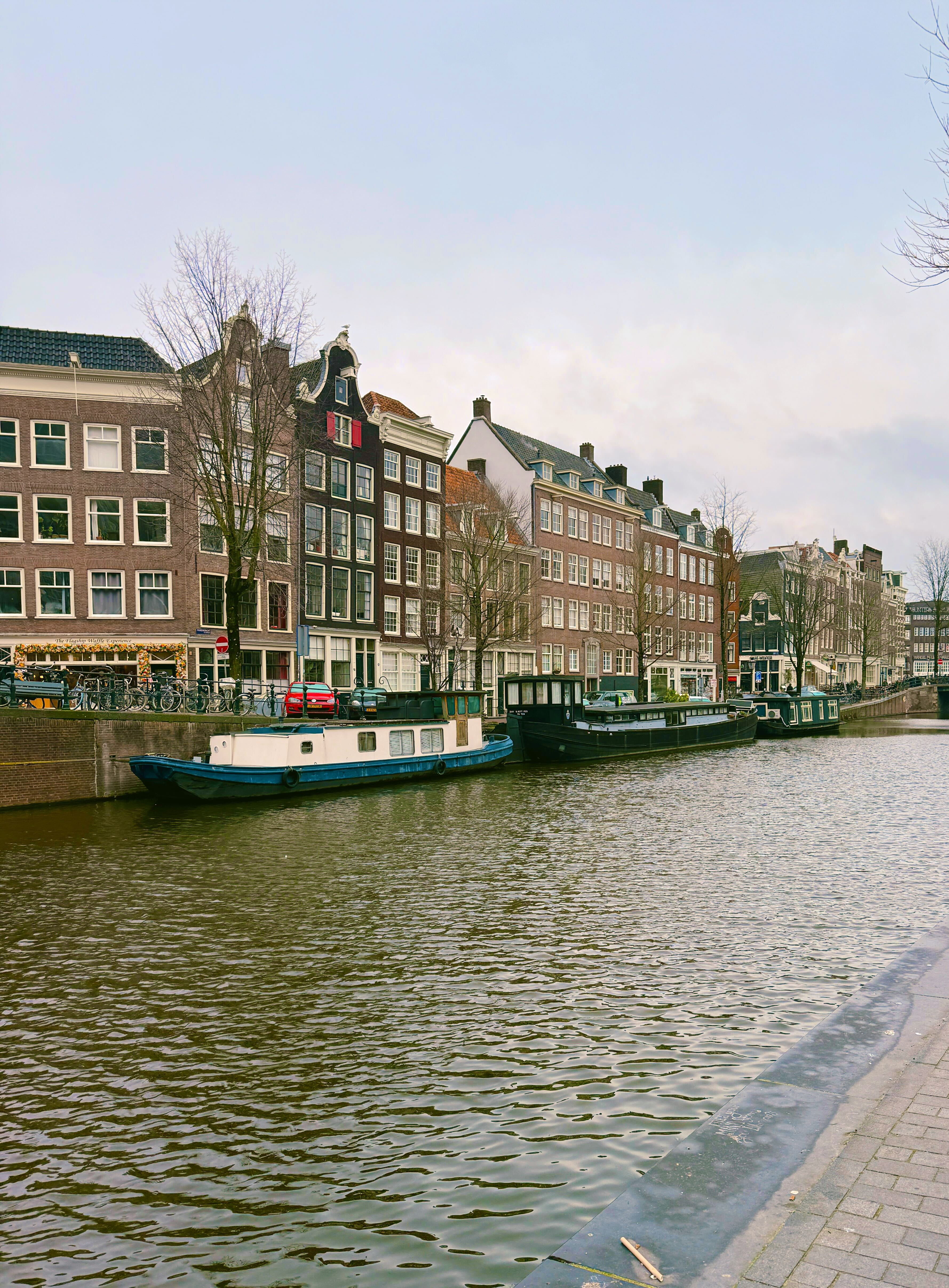 tezza4702jpg by Laura Carlton?width=698&height=466&fit=crop&auto=webp&dpr=4