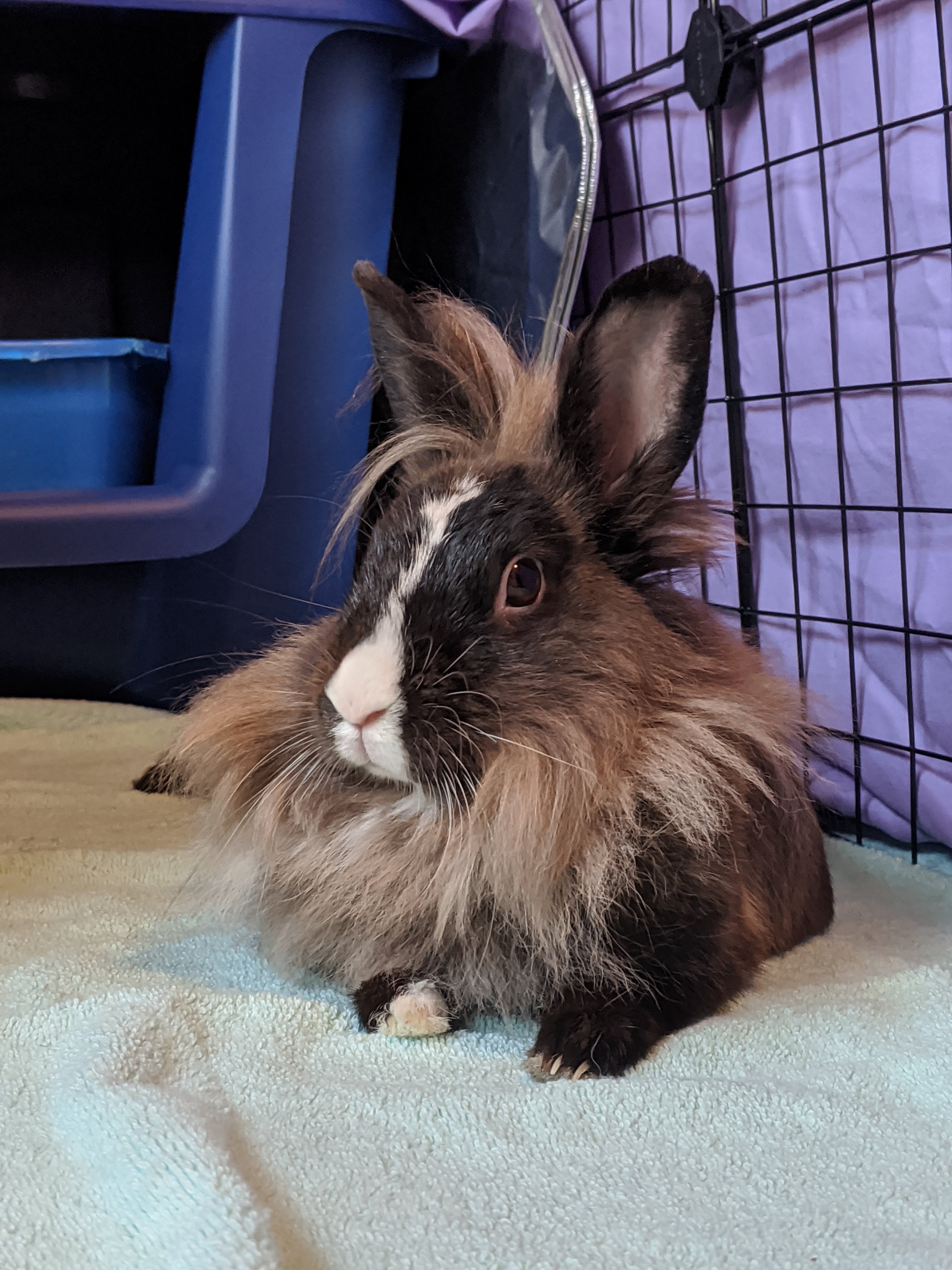 novajpg by Kirby Mealer?width=698&height=466&fit=crop&auto=webp&dpr=4