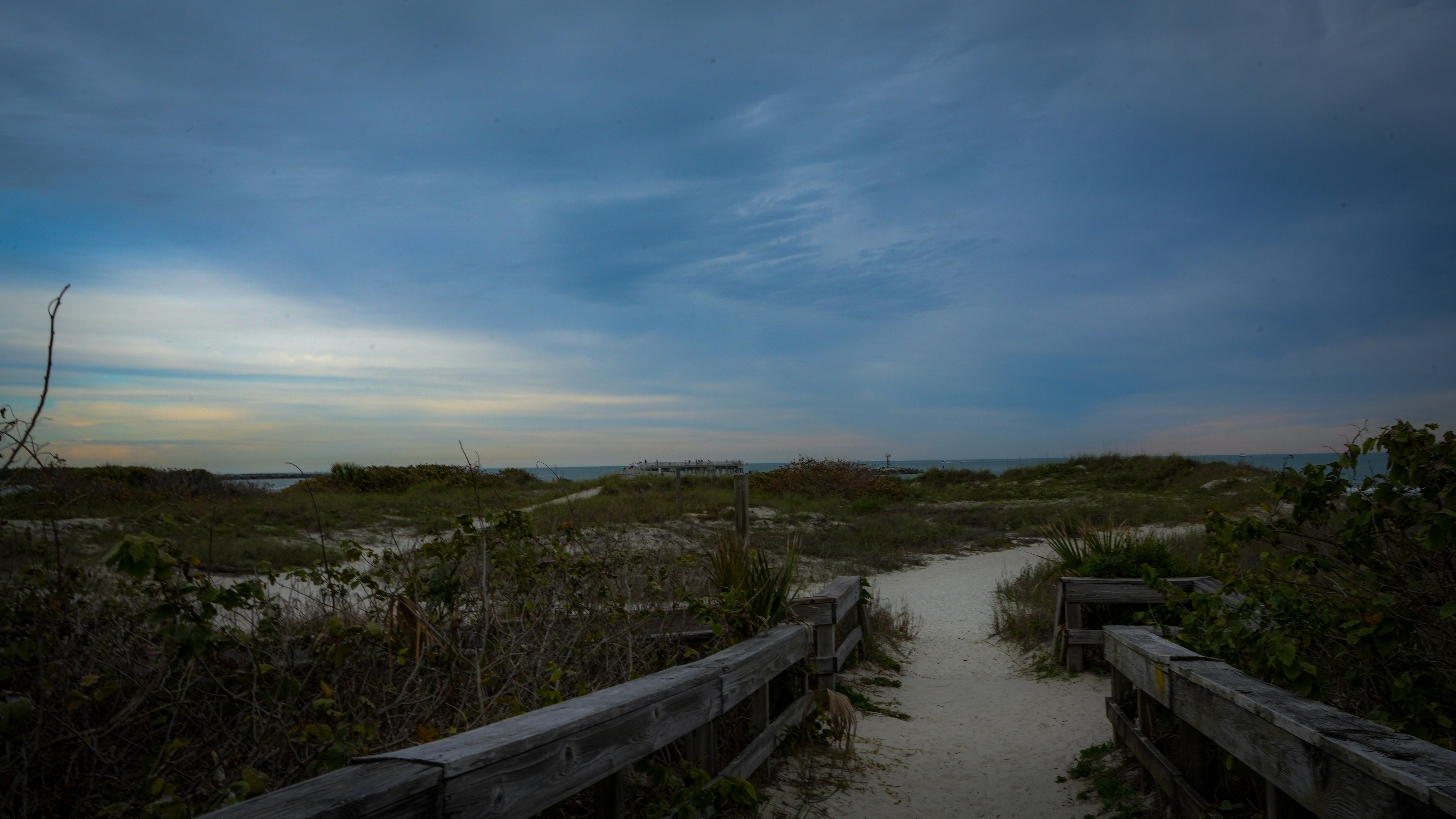 jettyparkmarch2025030jpegjpg by Anna Dooley?width=698&height=466&fit=crop&auto=webp&dpr=4