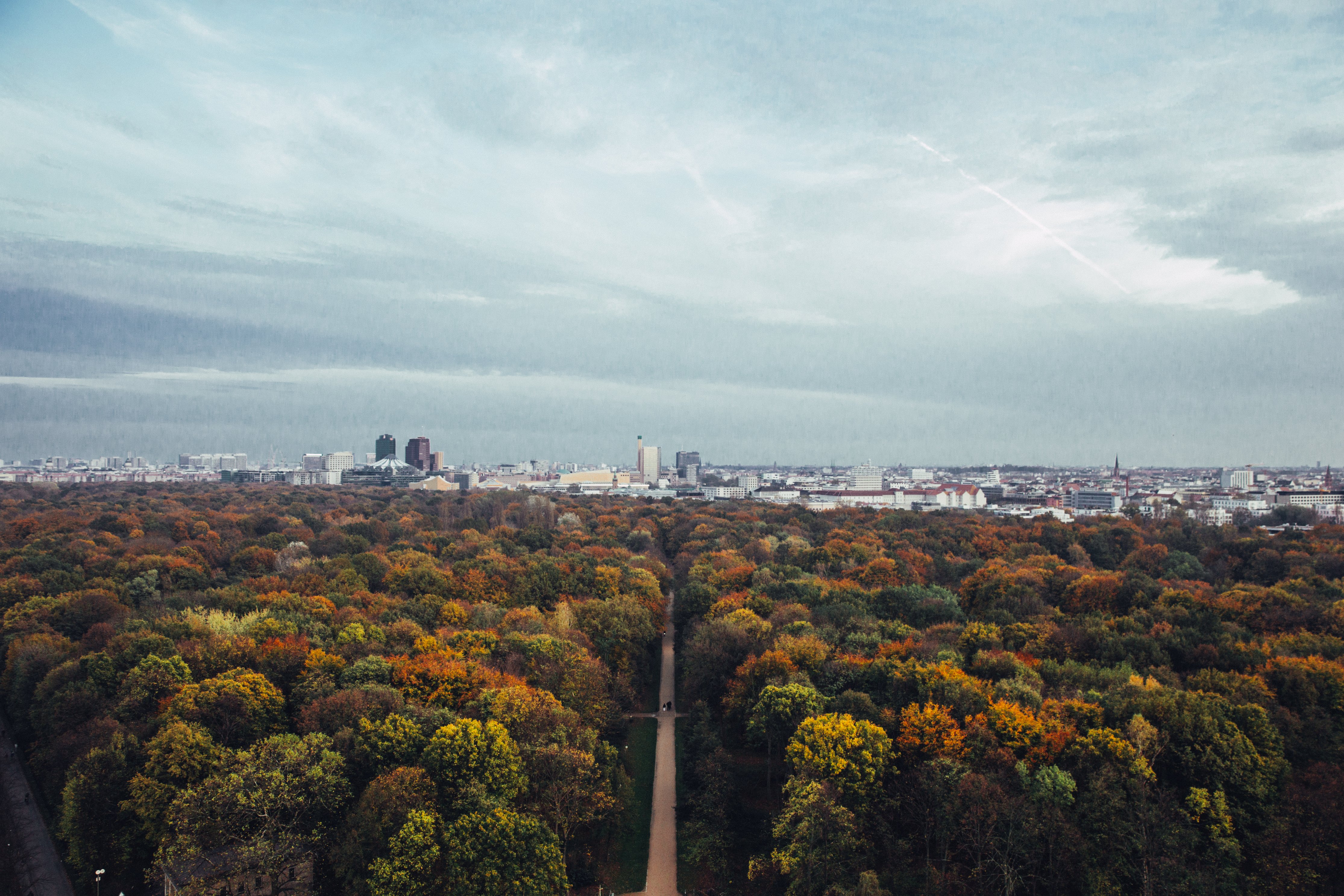 fallforestandcityviewjpg by Via Brodie Vissars on Burst