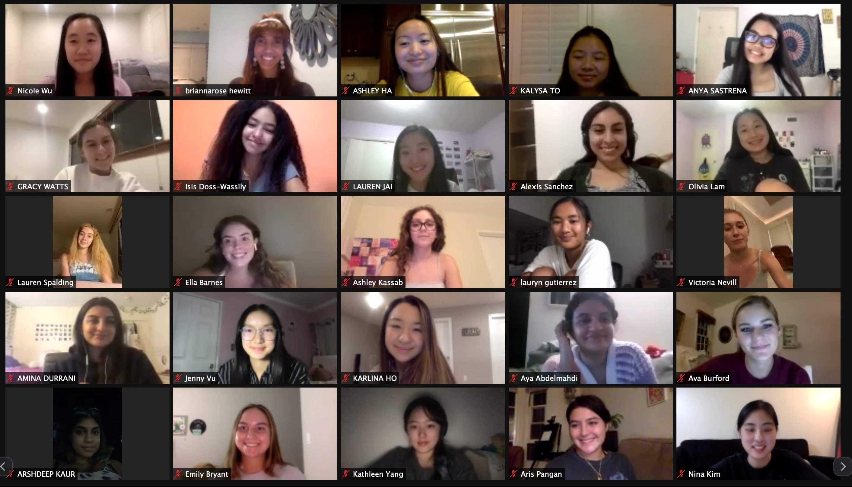 Students on zoom call