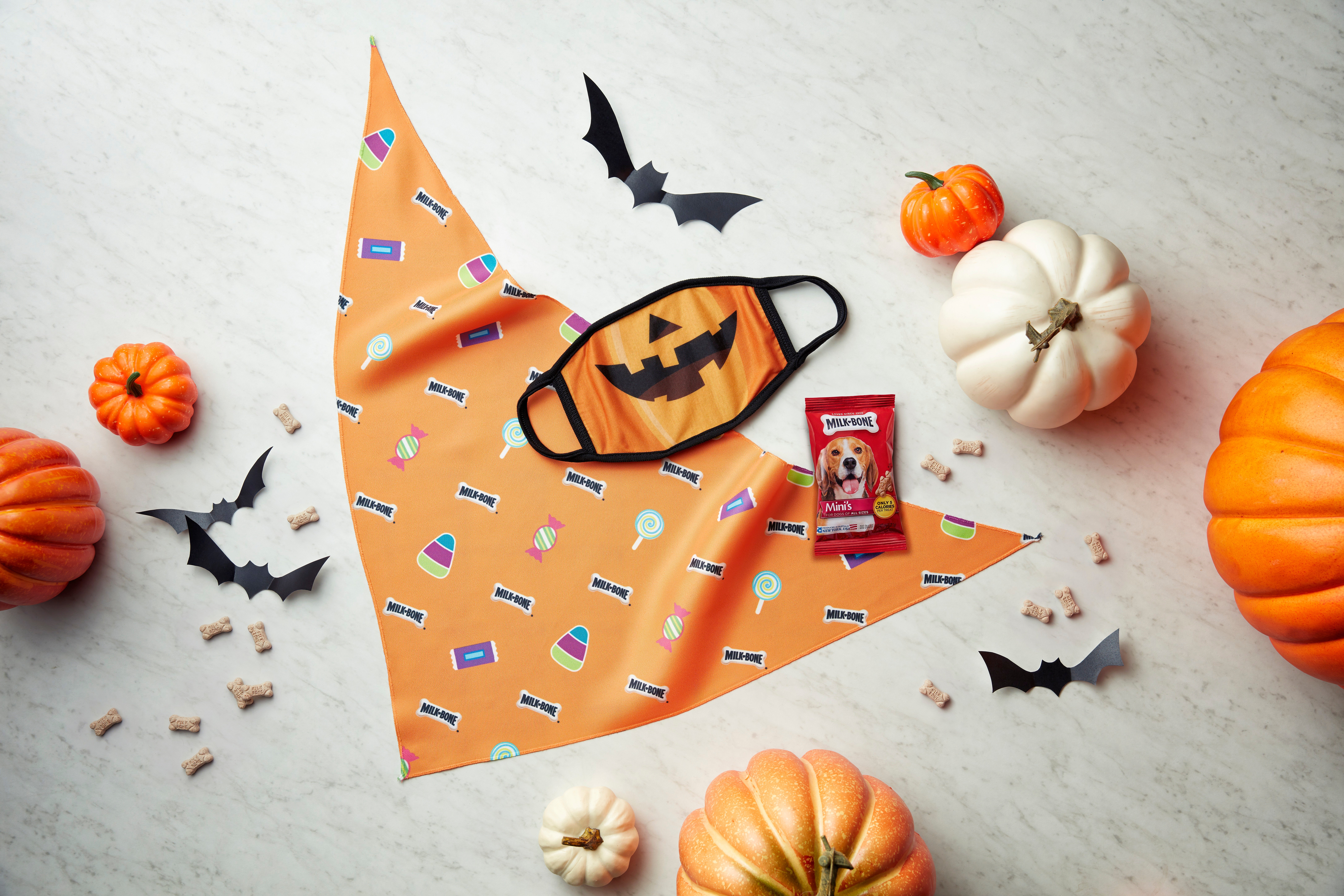 Milk-Bone Pumpkin and Candy Mask Set
