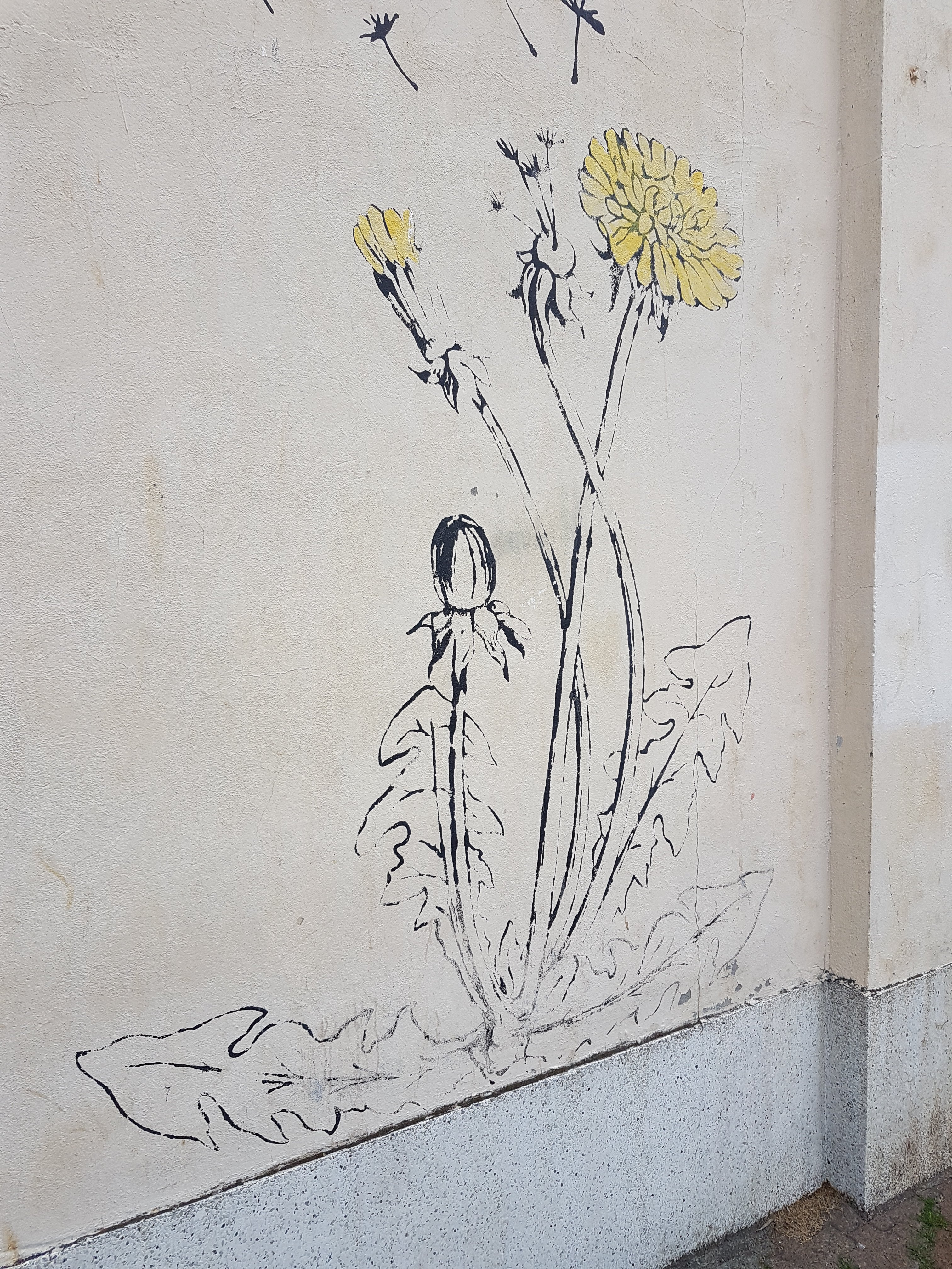 Art on a downtown building