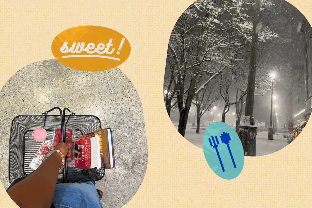 snowstormgroceryshopping?width=698&height=466&fit=crop&auto=webp&dpr=4