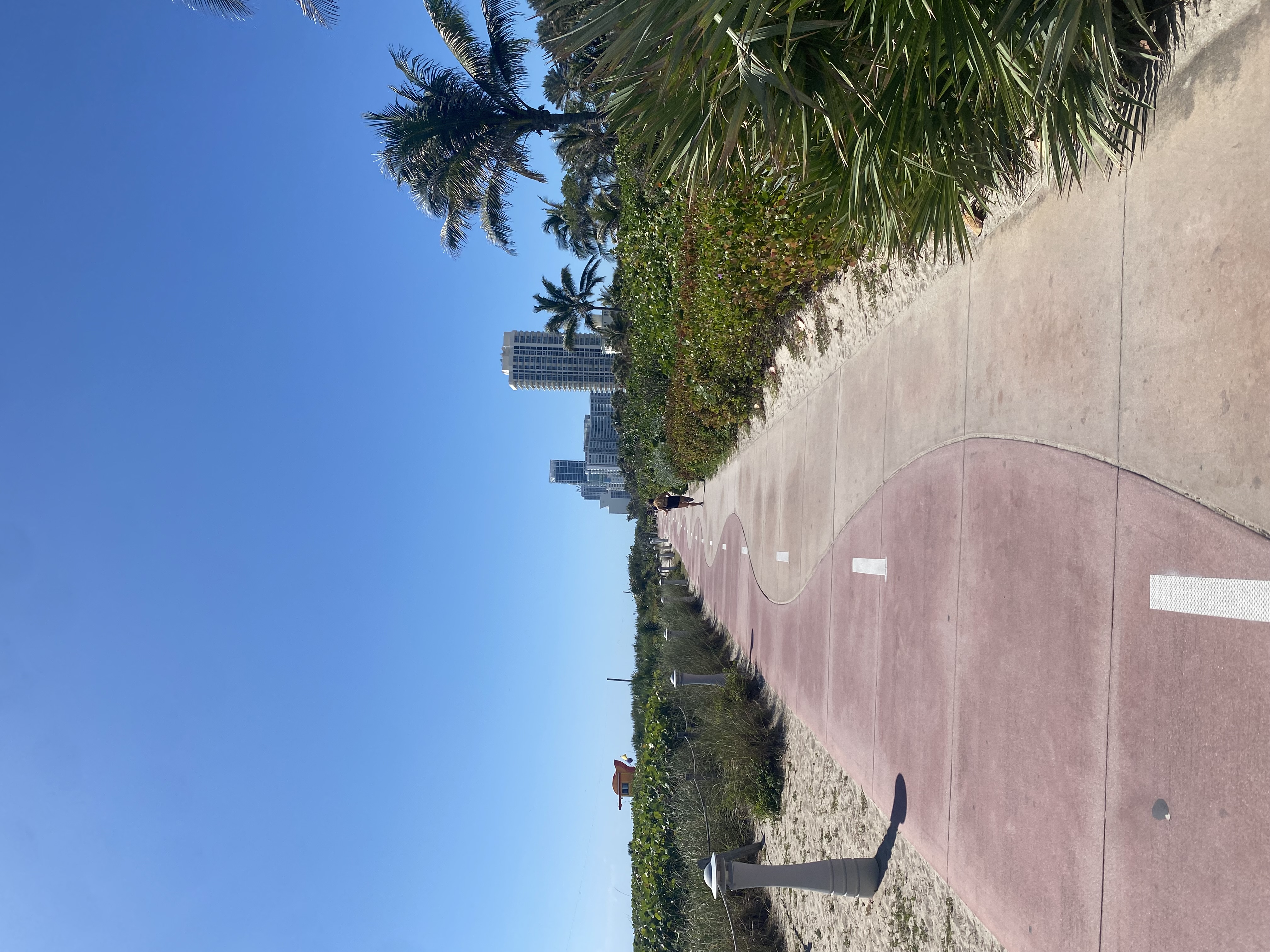 Bike path along the beach
