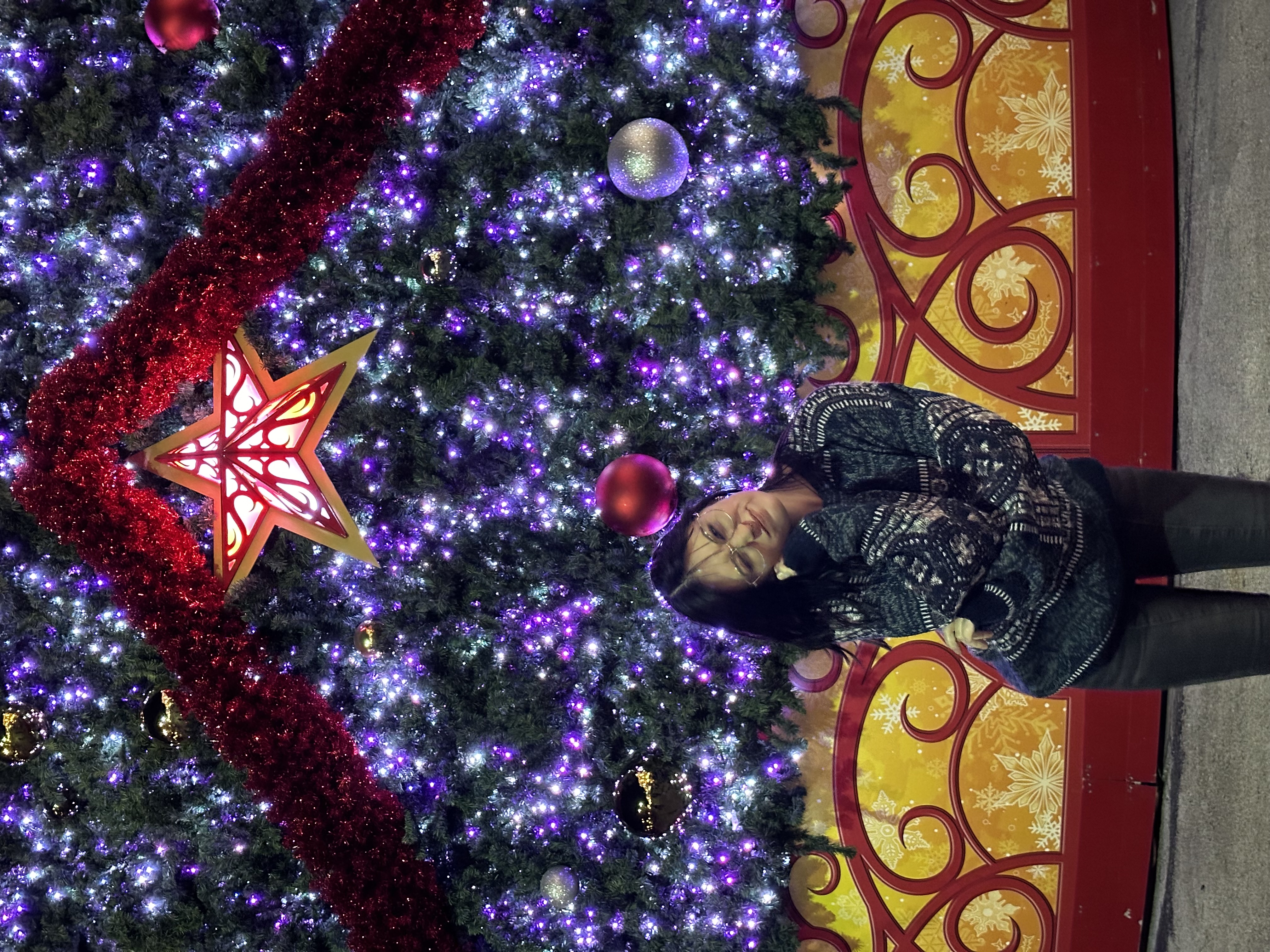 Image of me in front of the Universal Studios Christmas Tree