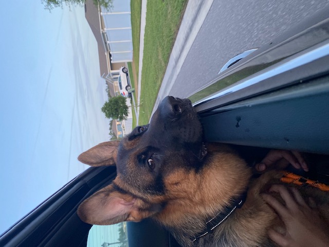 image2jpegjpg by Ranya Sevilleno?width=698&height=466&fit=crop&auto=webp&dpr=4