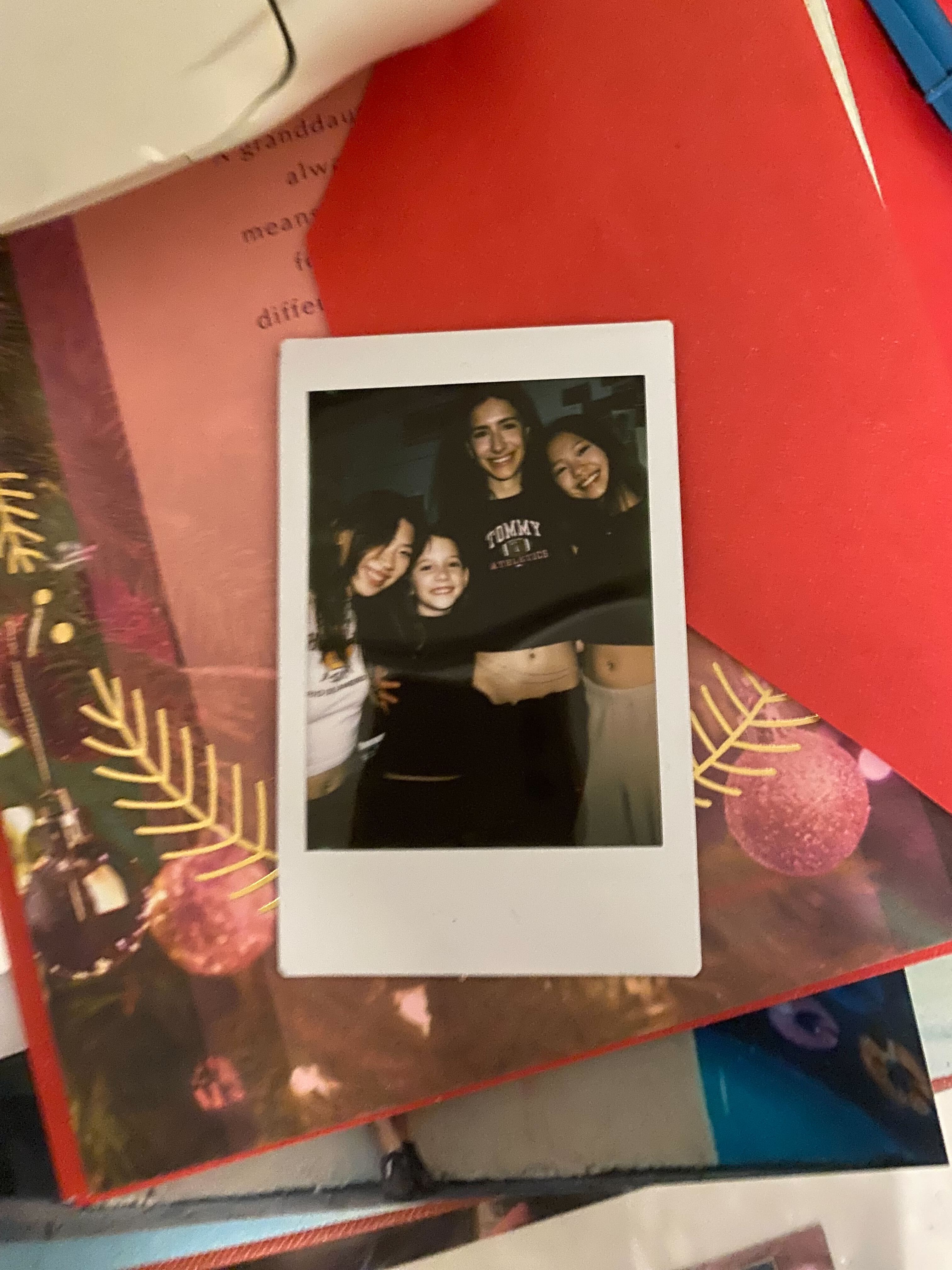 college friends home for the holiday essay