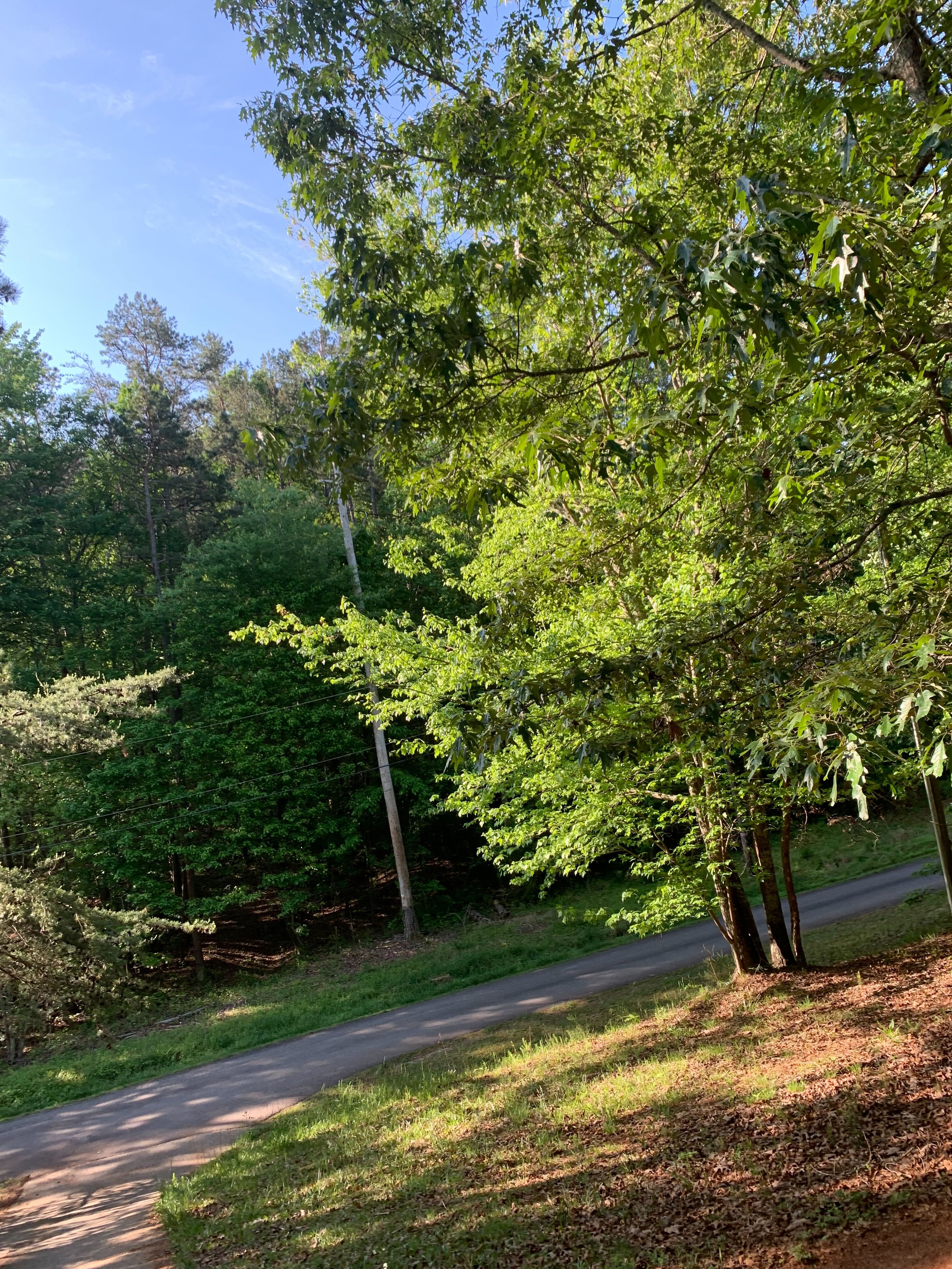 IMG 0273?width=500&height=500&fit=cover&auto=webp&dpr=4