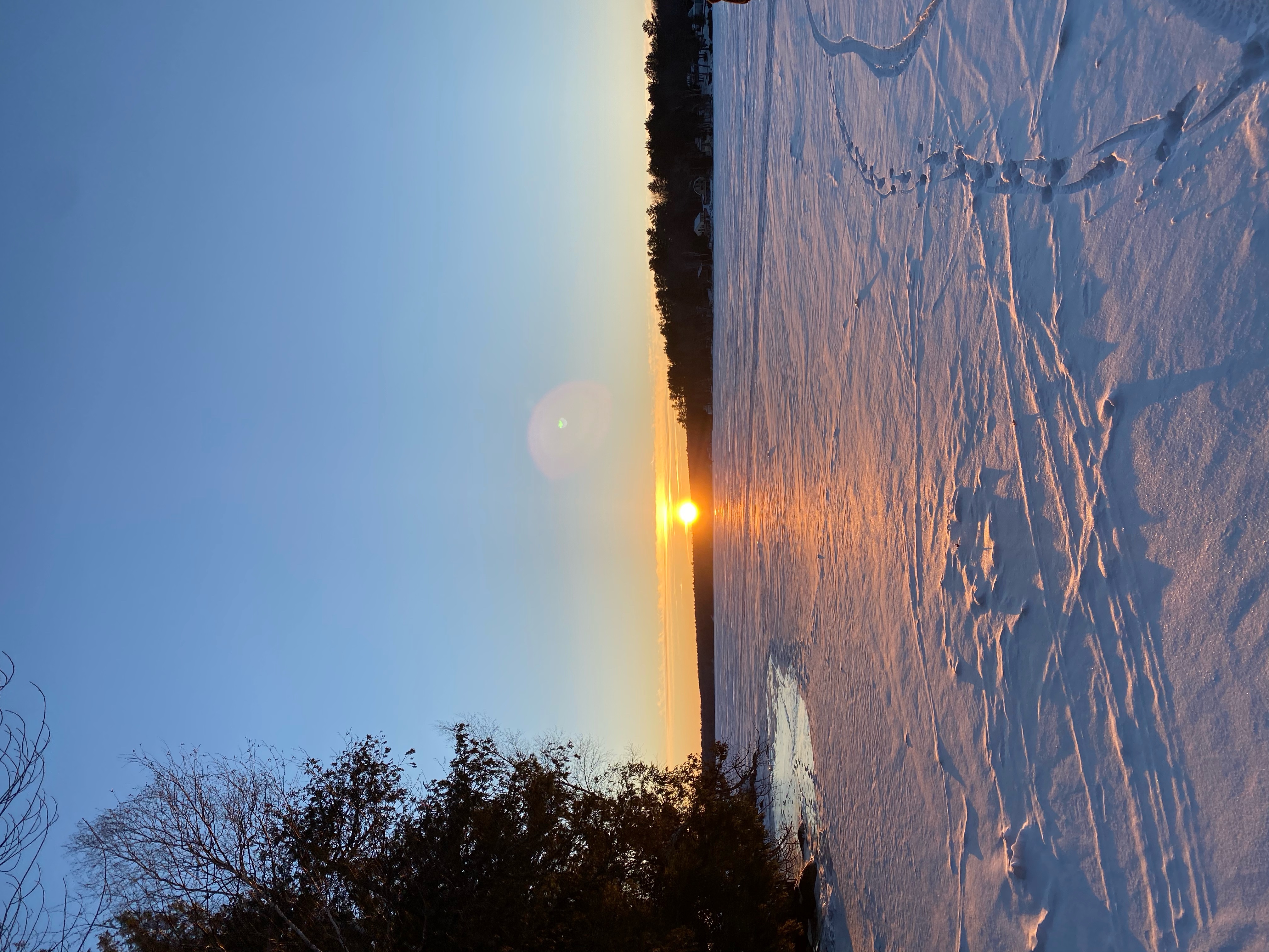 img 0197jpegjpg by Sarah Ehrlich