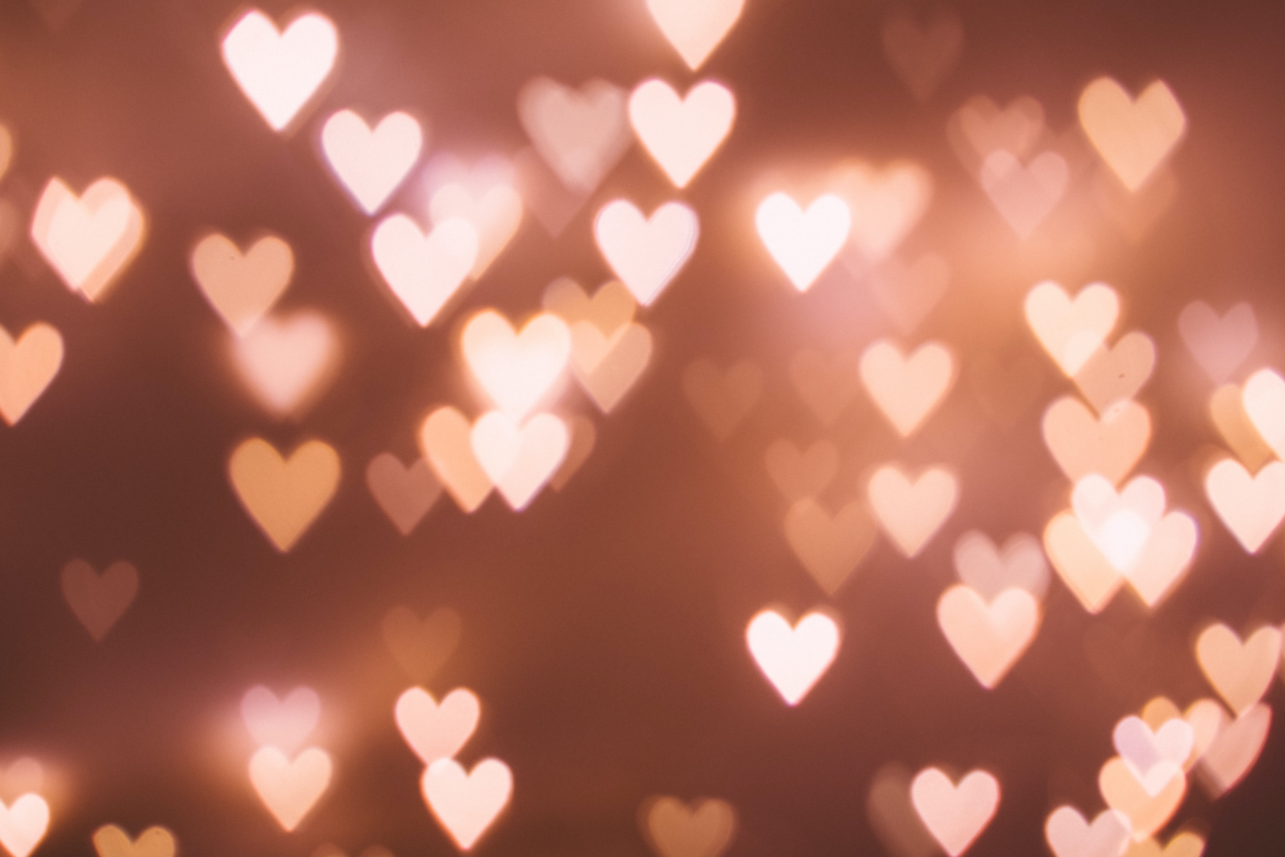 pink heart lights by freestocks on Unsplash?width=698&height=466&fit=crop&auto=webp&dpr=4