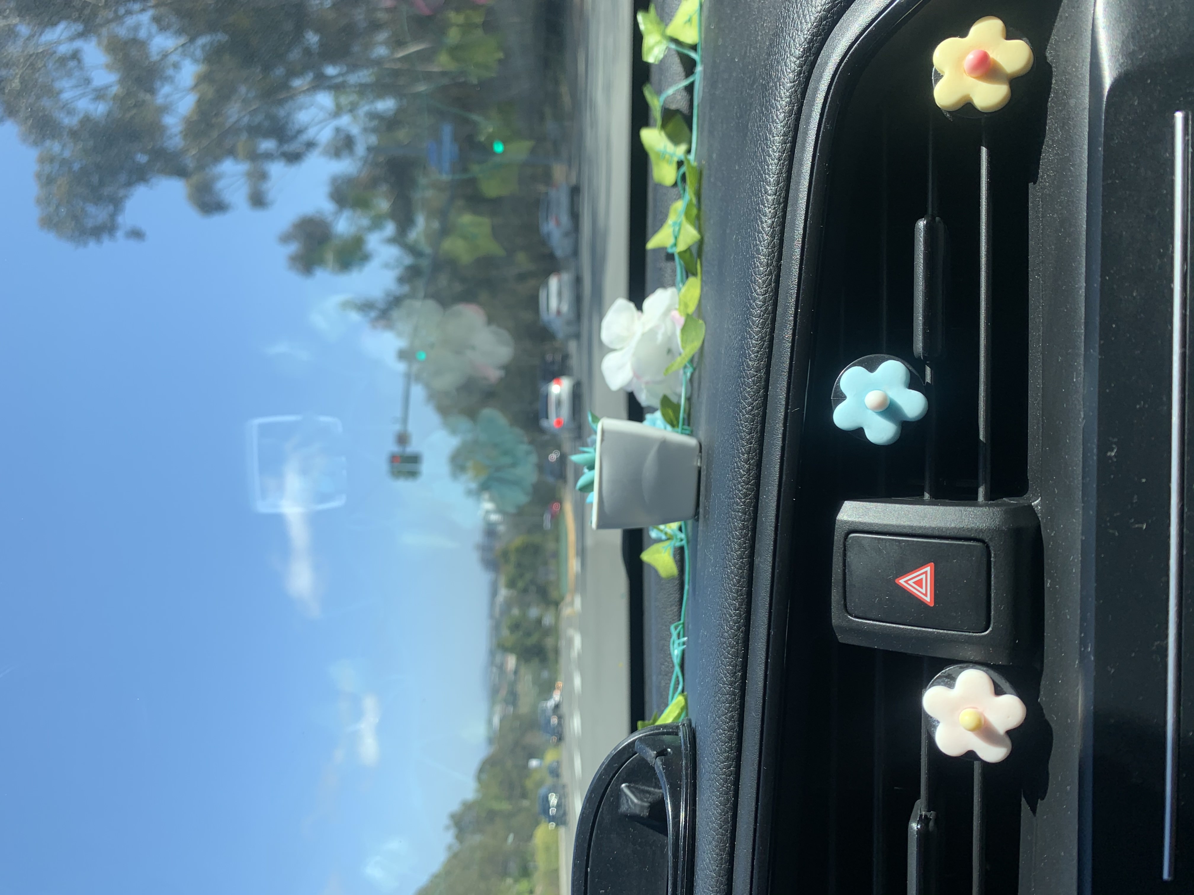 img 4977jpg by maya ordonez?width=698&height=466&fit=crop&auto=webp&dpr=4