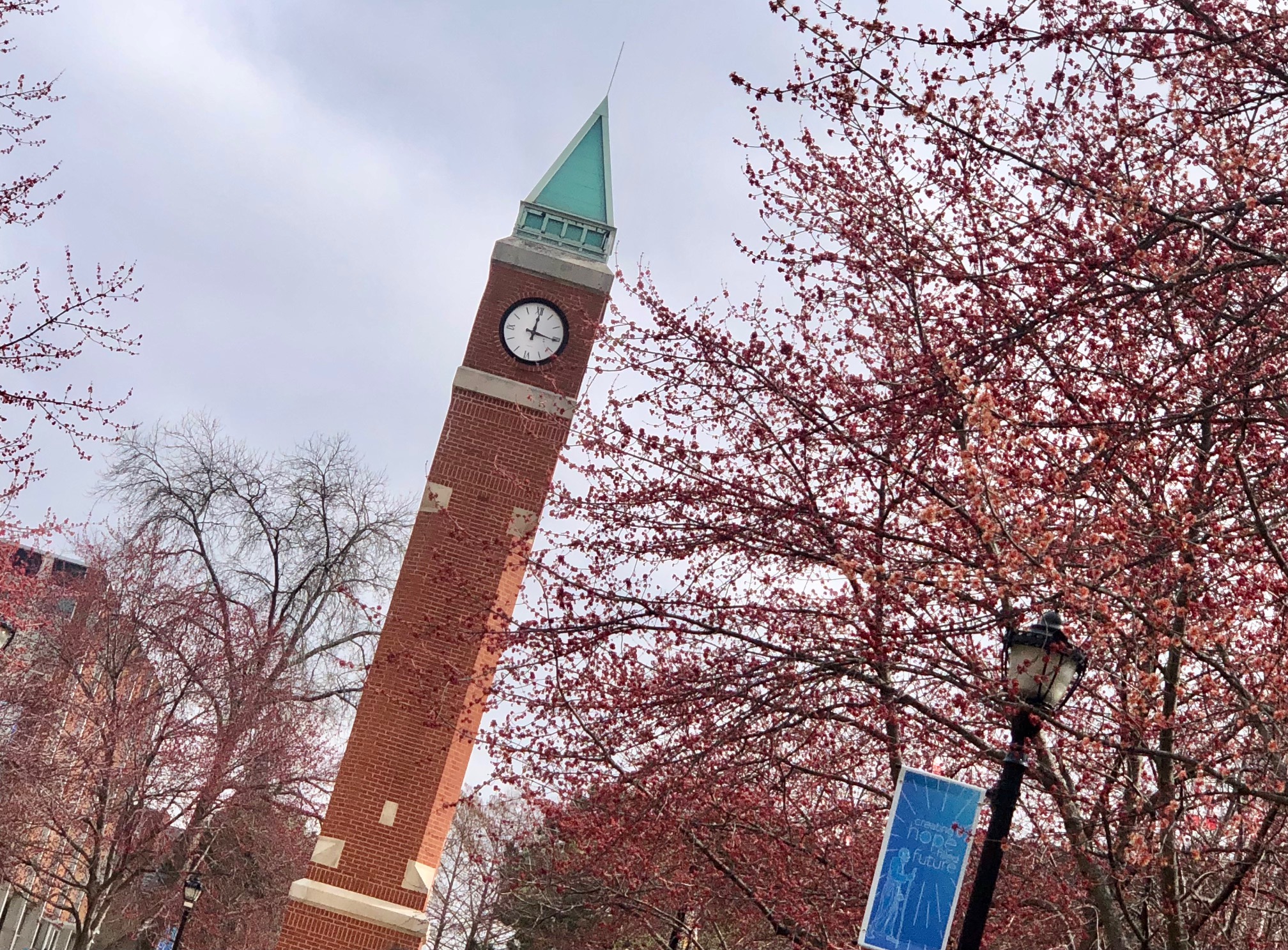 clocktower at st louis universityjpg by Urvashi Mahajan?width=698&height=466&fit=crop&auto=webp&dpr=4