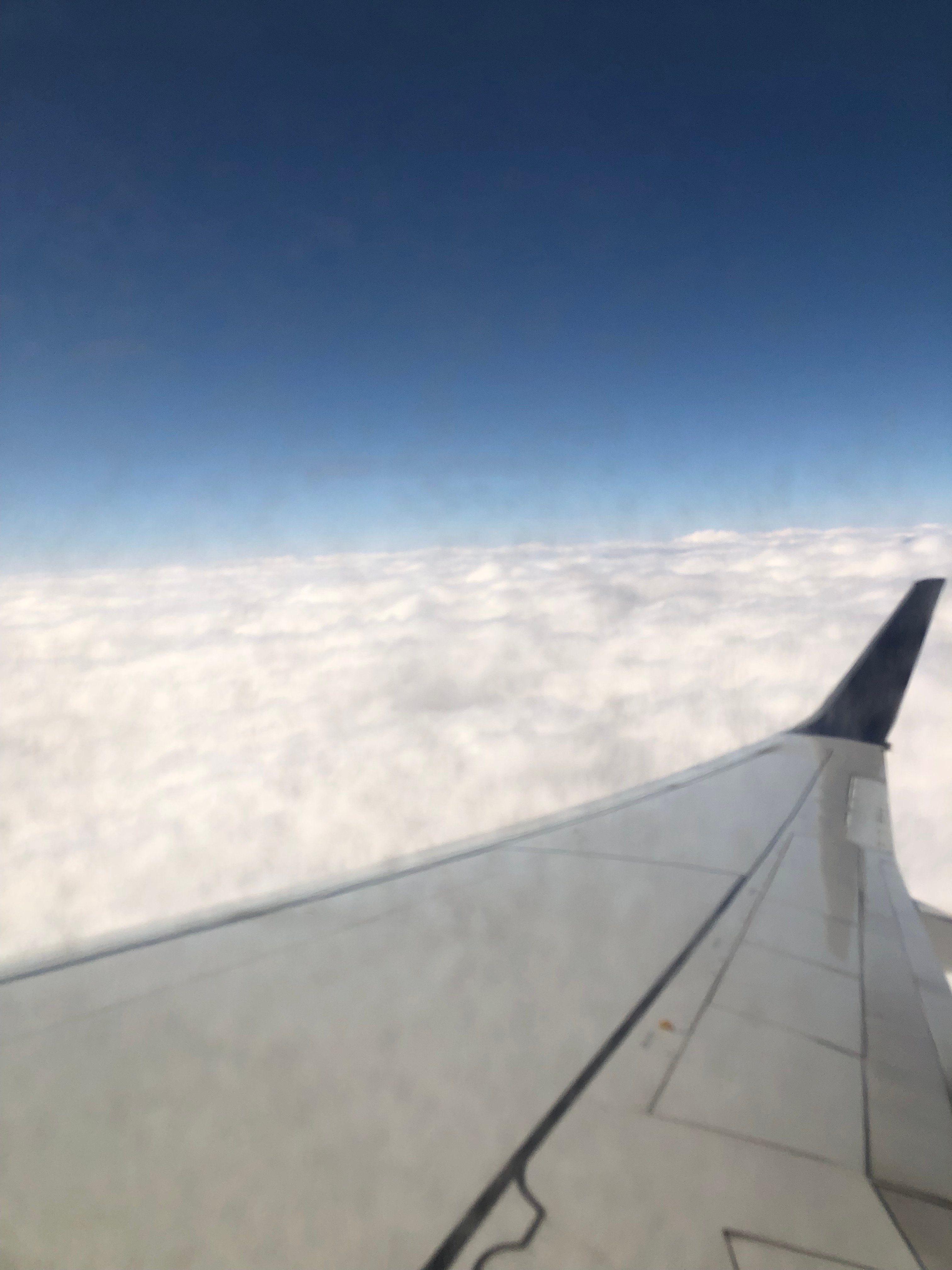 img 1038jpegjpg by Izzy Gutierrez?width=698&height=466&fit=crop&auto=webp&dpr=4