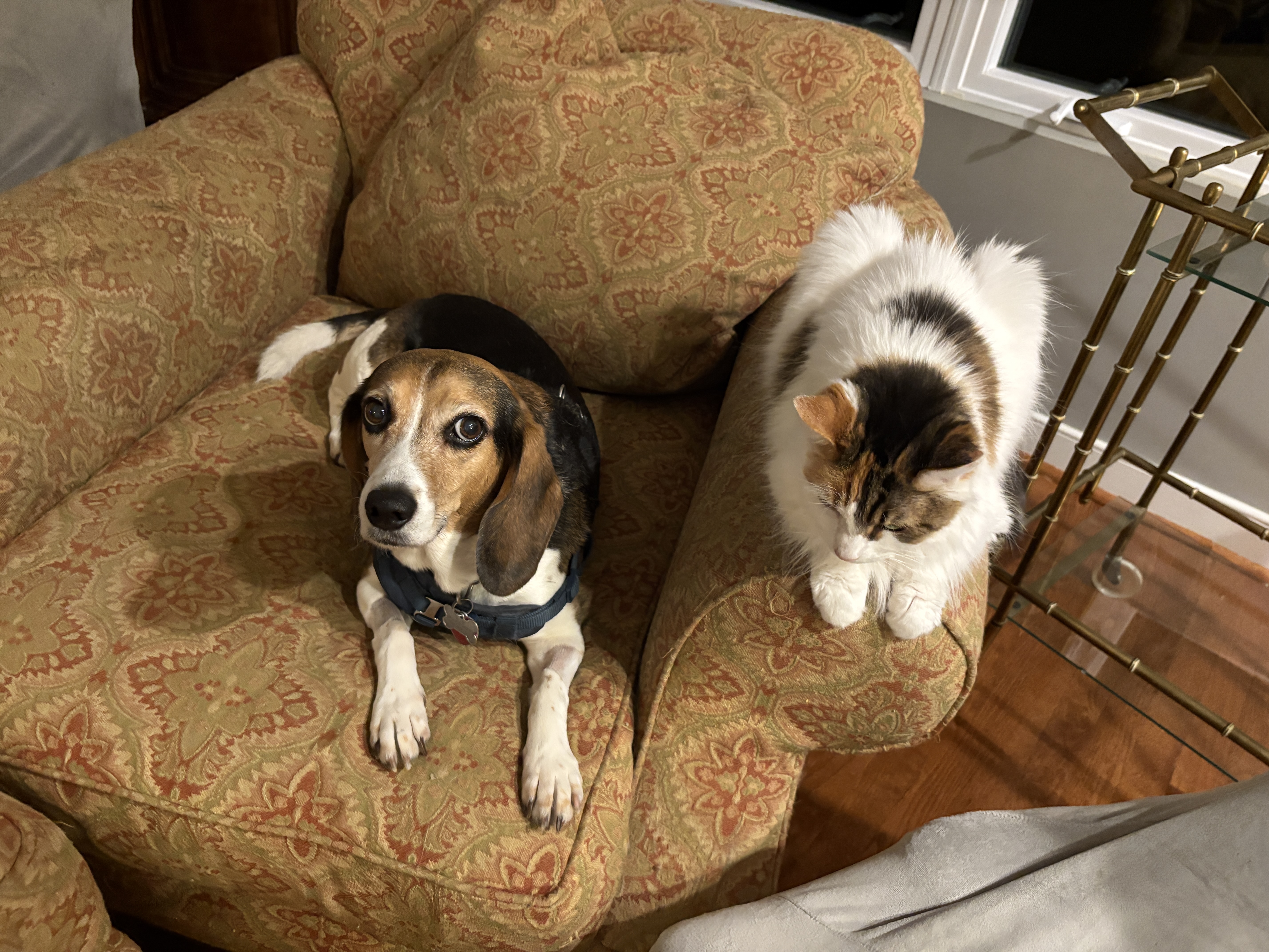 img 0023jpegjpg by Hannah Thomas?width=698&height=466&fit=crop&auto=webp&dpr=4