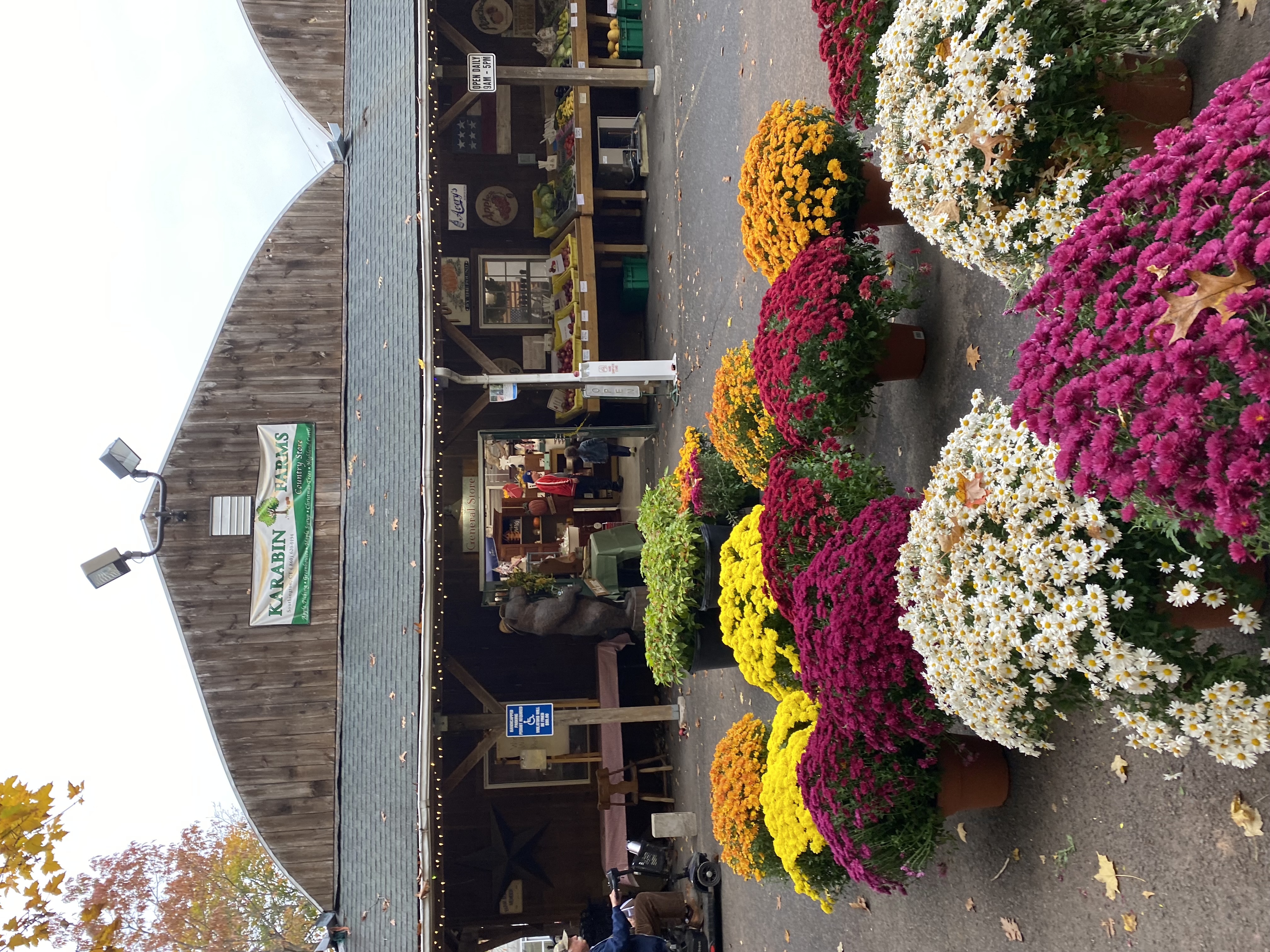 photo of an orchard and flowers.