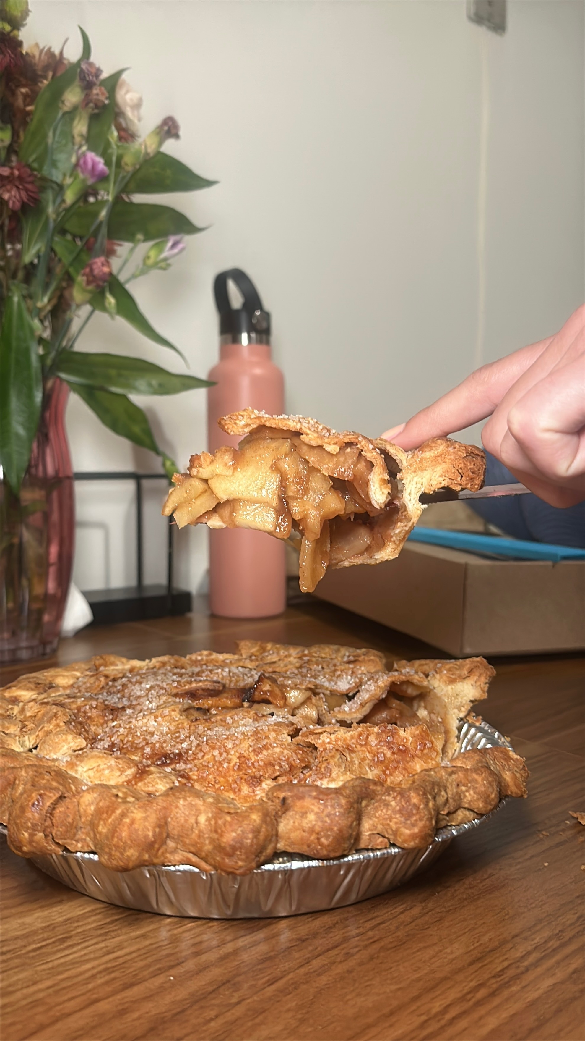 img 0191jpegjpg by Leah Cohen?width=698&height=466&fit=crop&auto=webp&dpr=4