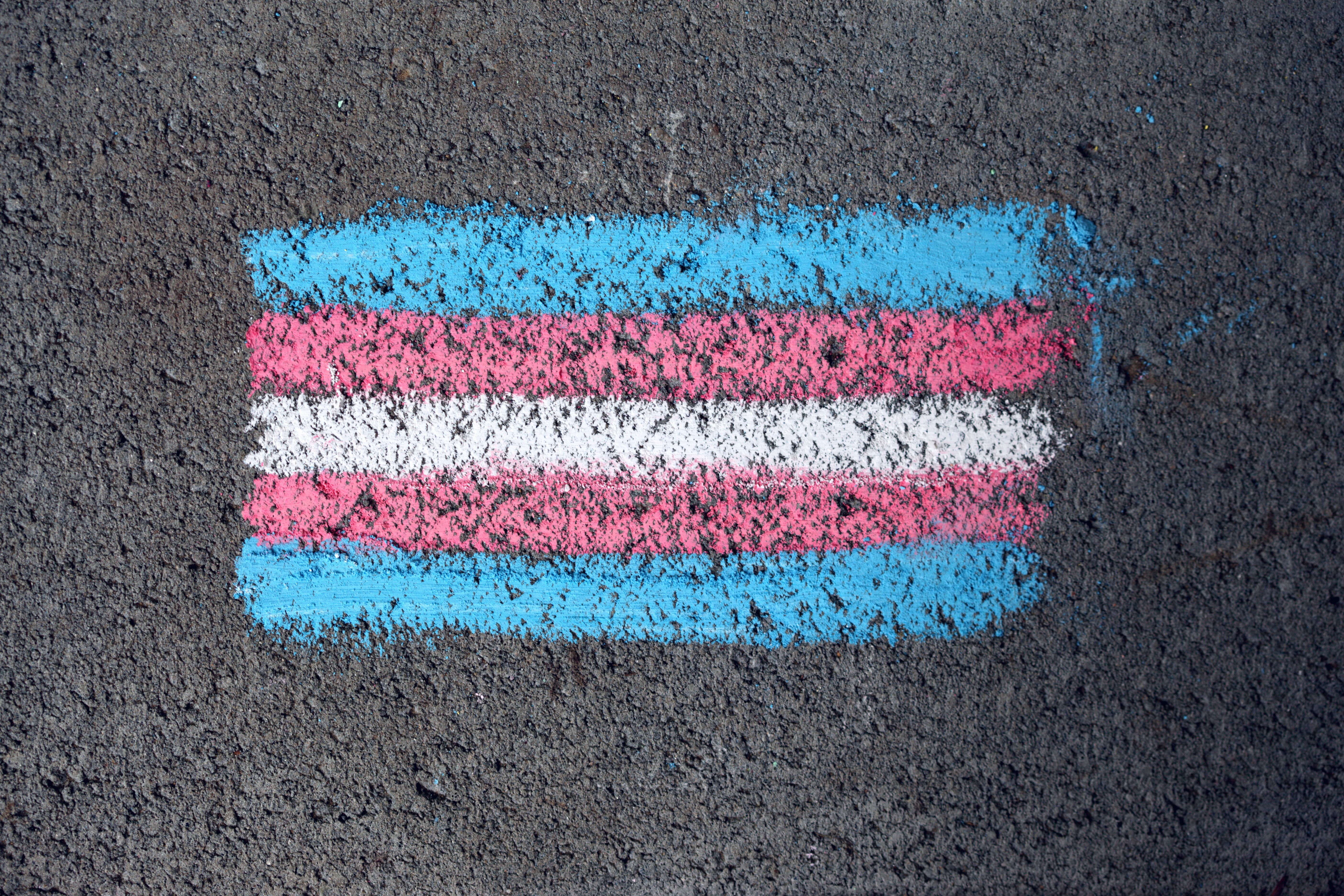 pexels katierainbow 8275181?width=500&height=500&fit=cover&auto=webp&dpr=4