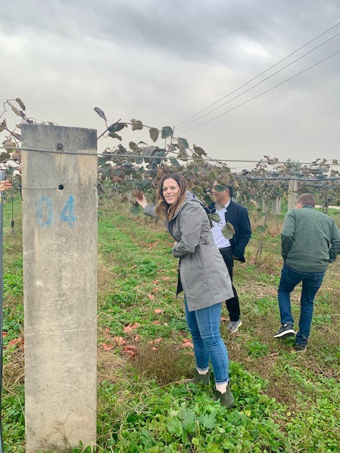 Alicia Binion Kiwi Farm Pic?width=1024&height=1024&fit=cover&auto=webp&dpr=4