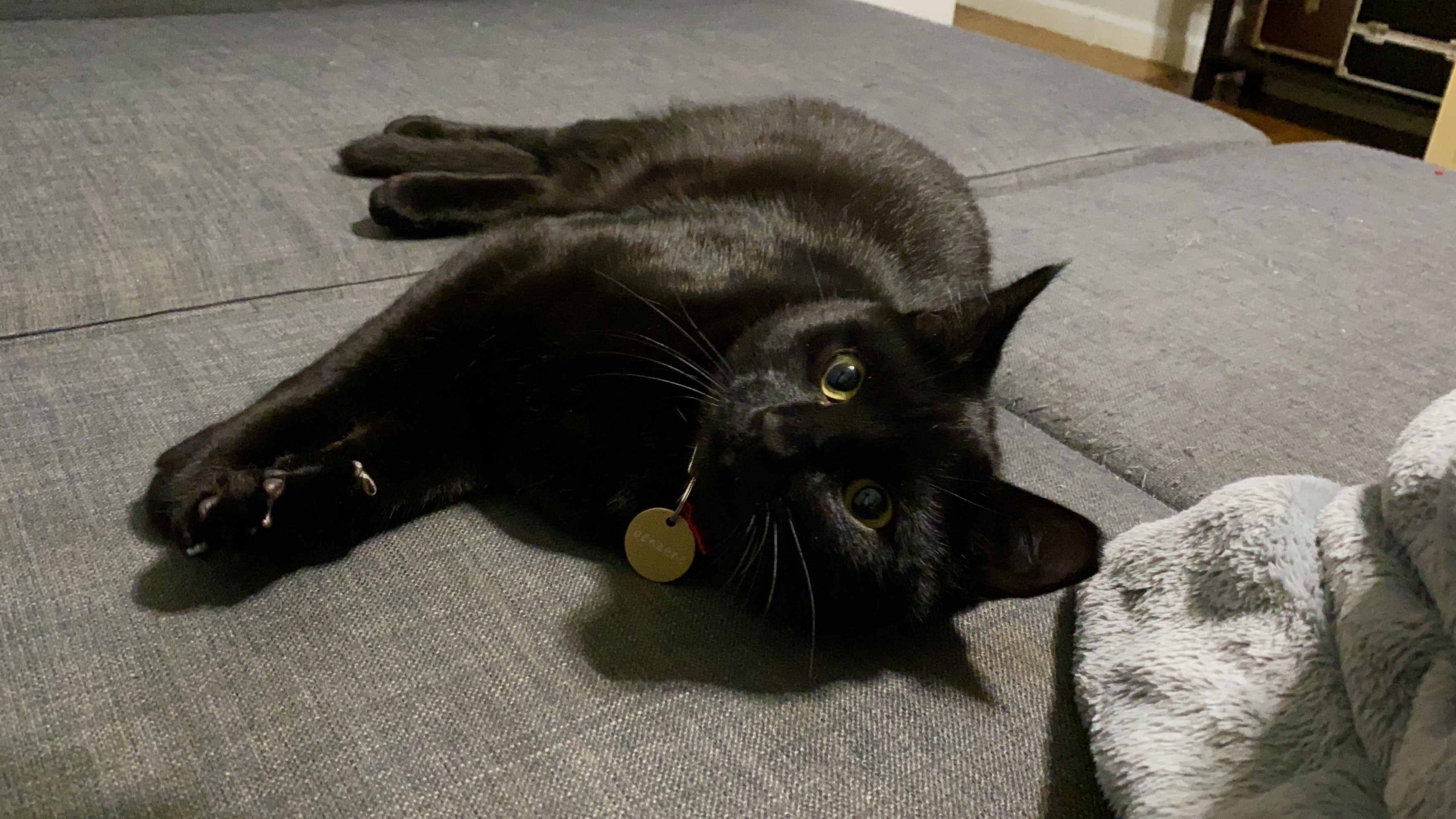 img 1090jpg by Melanie Agne