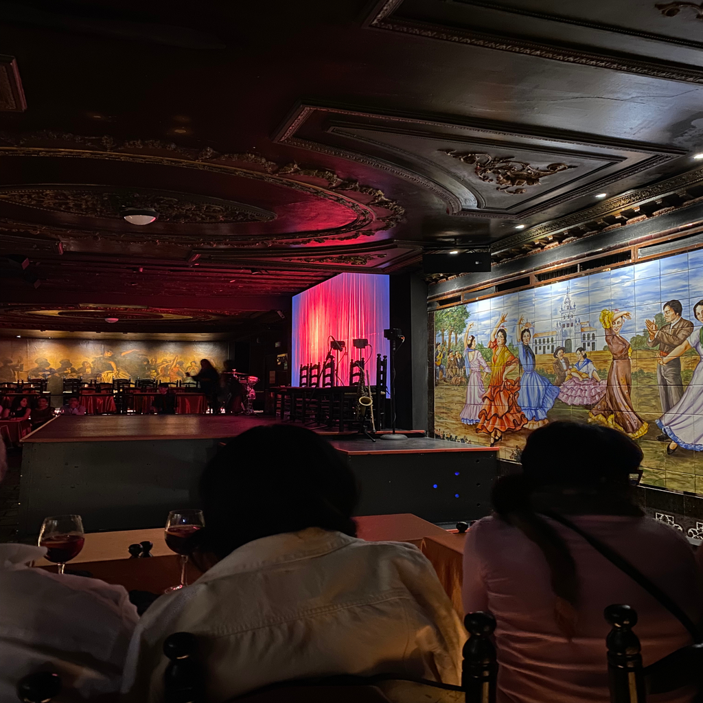 a photo I took at a Flamenco show in Madrid, Spain