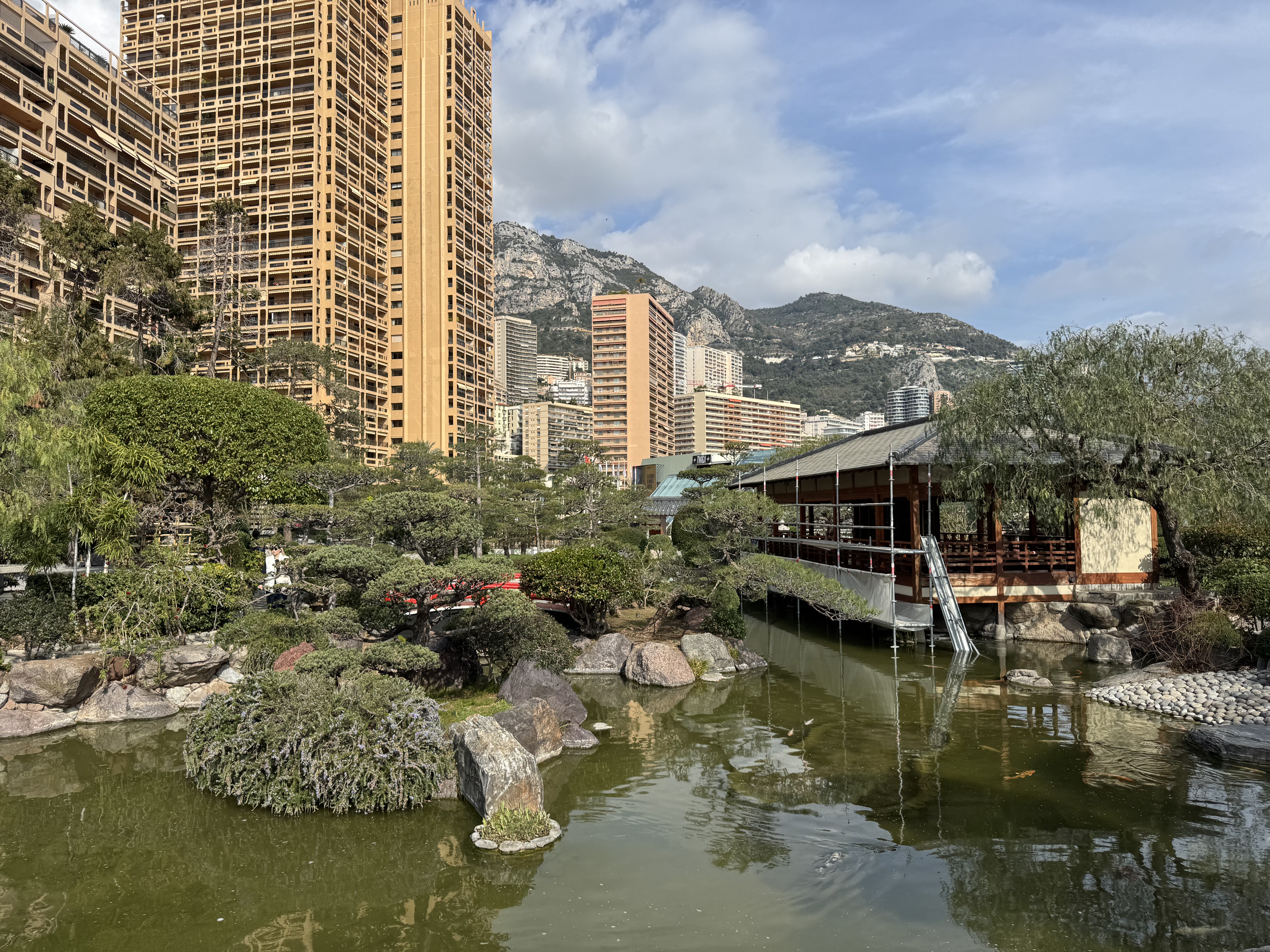 Japanese Garden2?width=500&height=500&fit=cover&auto=webp&dpr=4