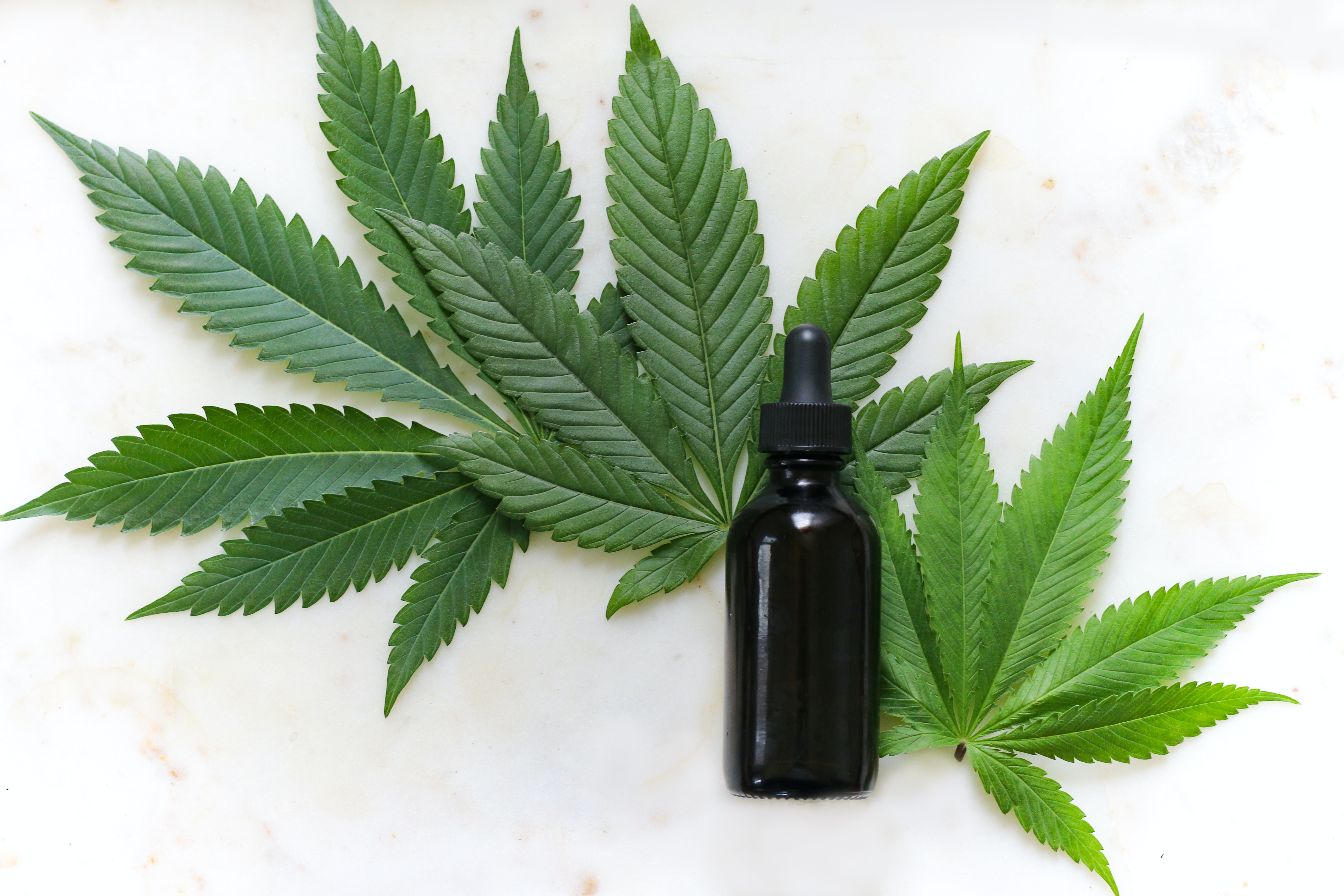 cbd and cannabis by Kimzy Nanney