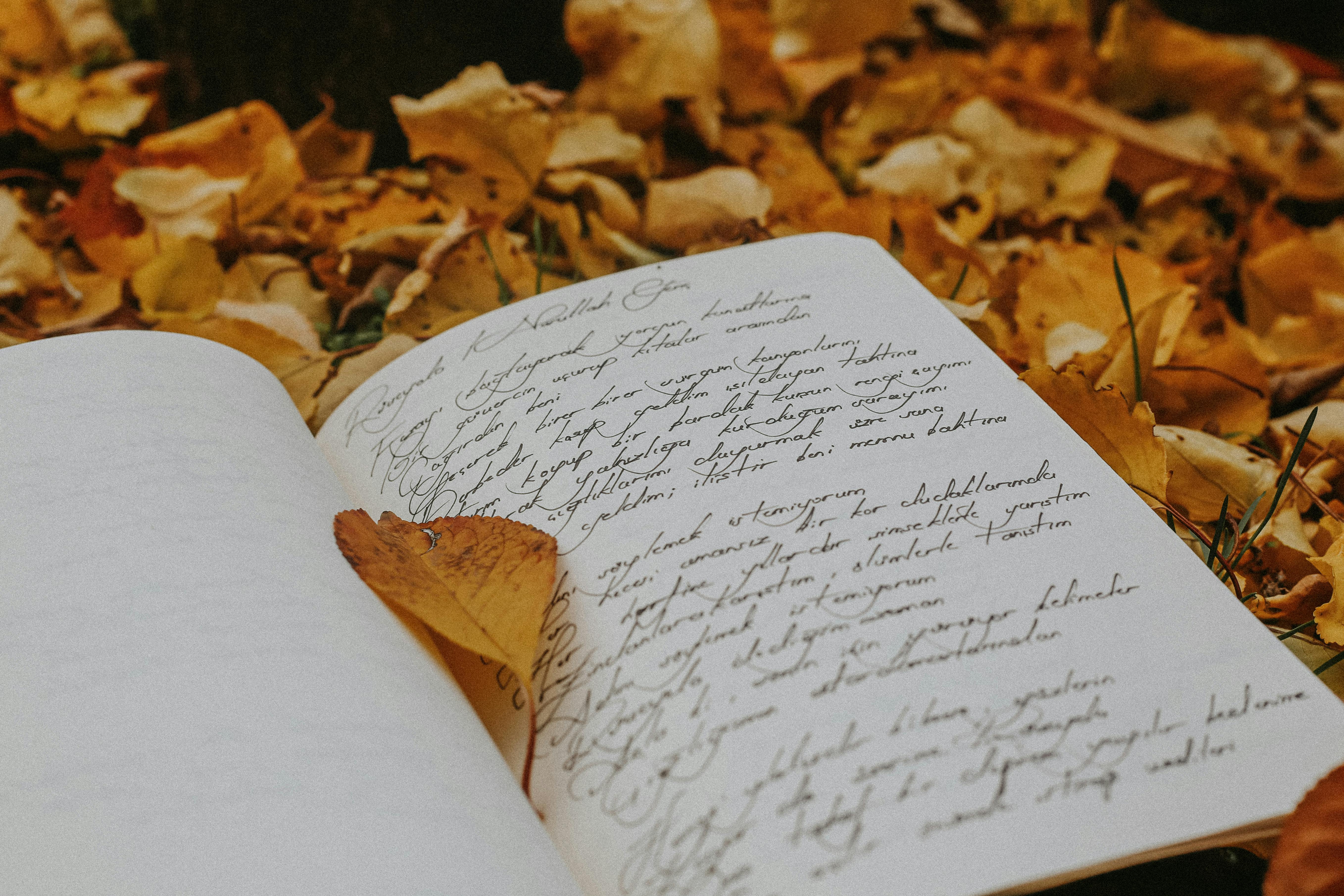 An open book with autumn leaves in the background.