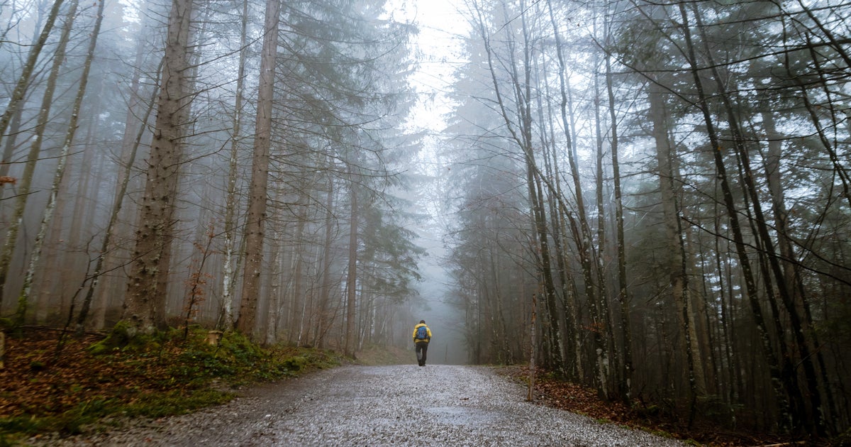 5 Songs to Listen to on a Nature Walk