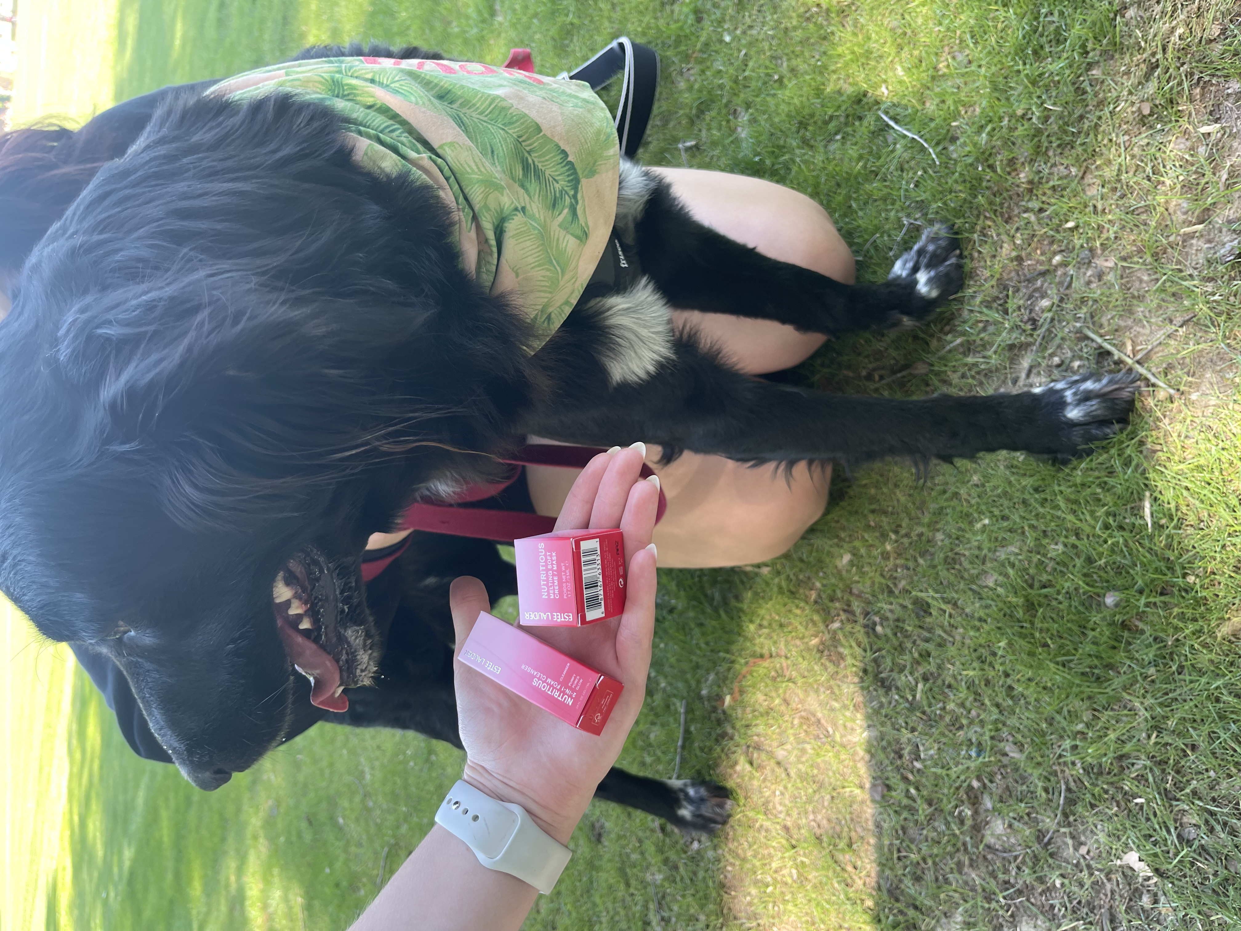 img 9944jpegjpg by MJ Miller?width=698&height=466&fit=crop&auto=webp&dpr=4